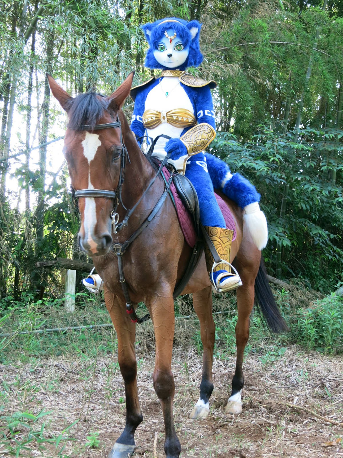 [Ayano Harumaki] Krystal từ Star Fox