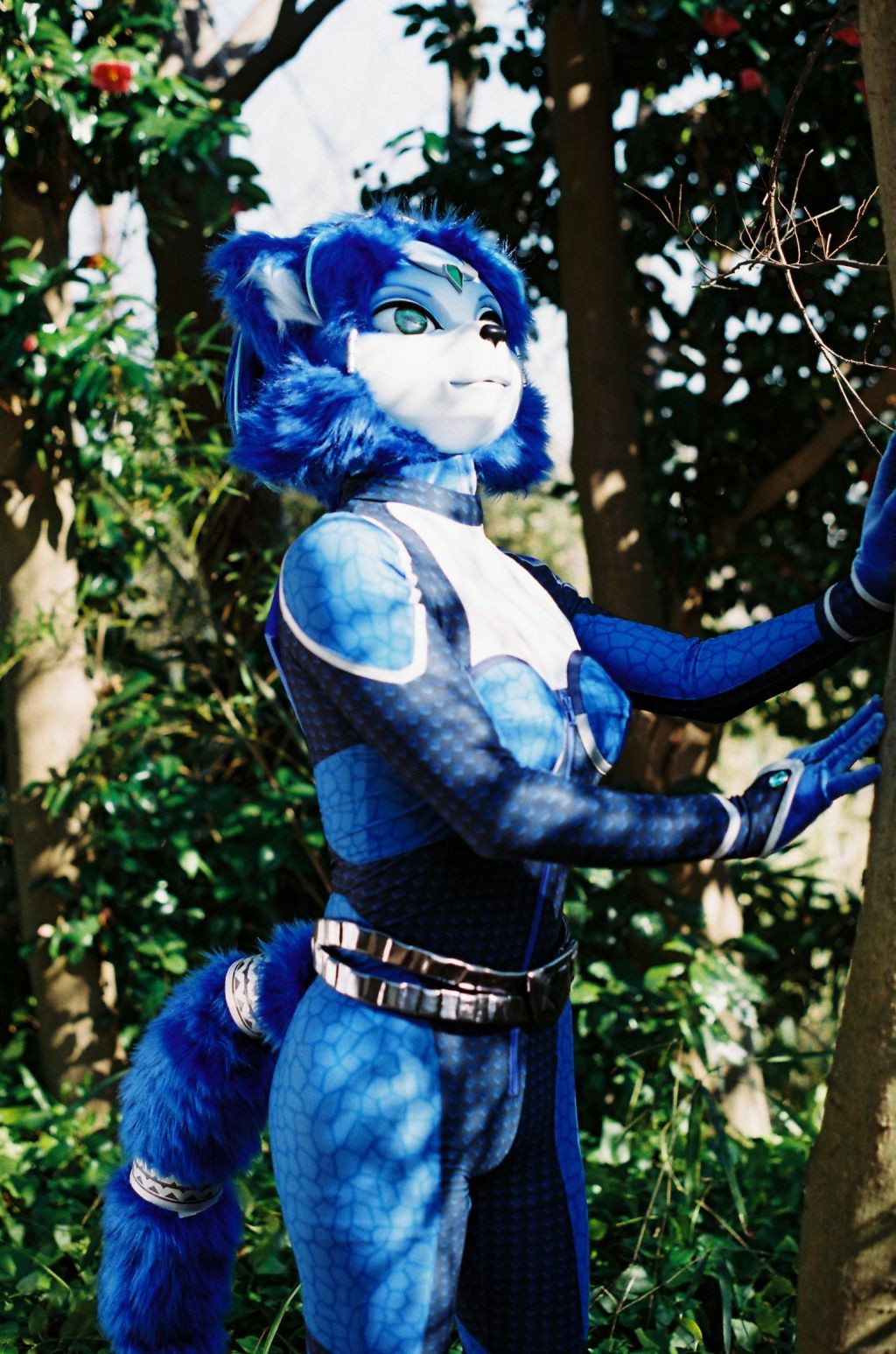 [Ayano Harumaki] Krystal từ Star Fox