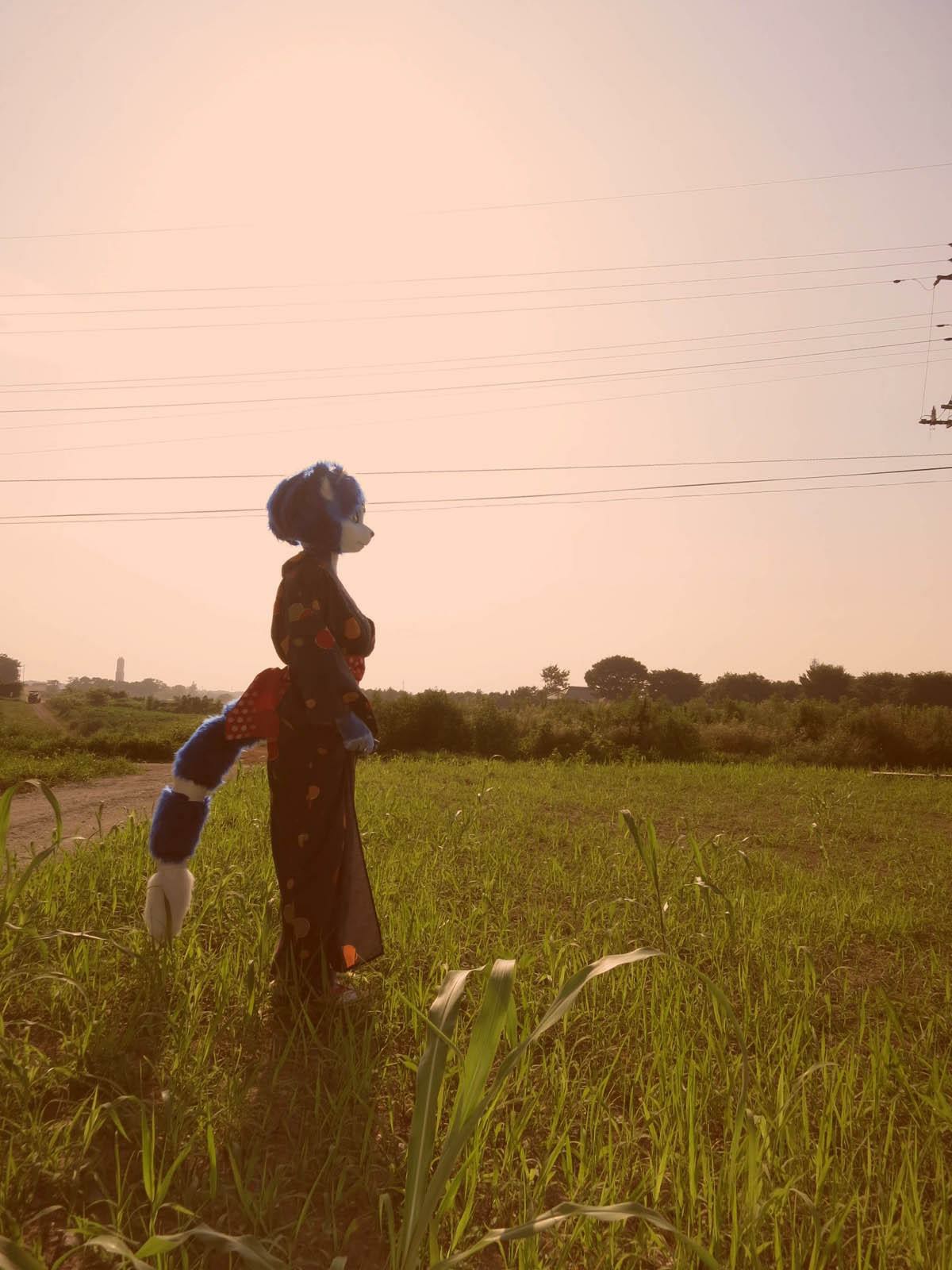 [Ayano Harumaki] Krystal từ Star Fox