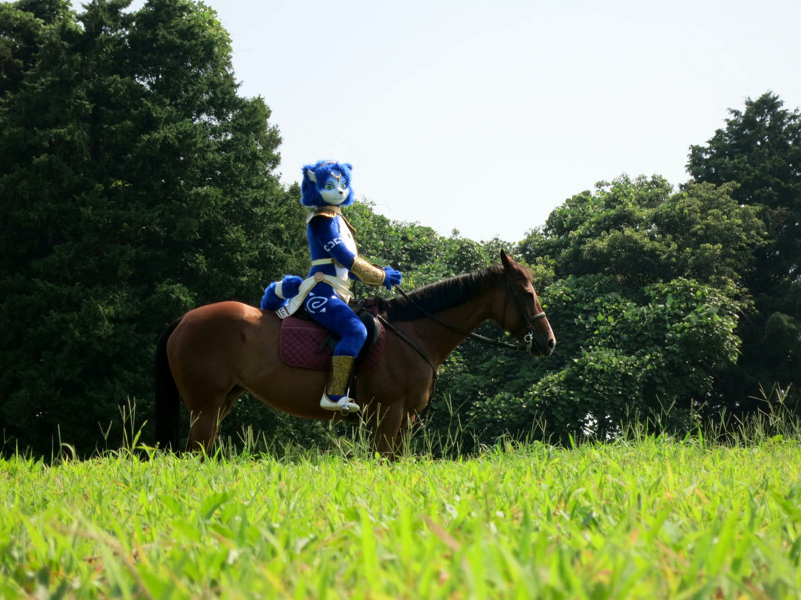 [Ayano Harumaki] Krystal từ Star Fox