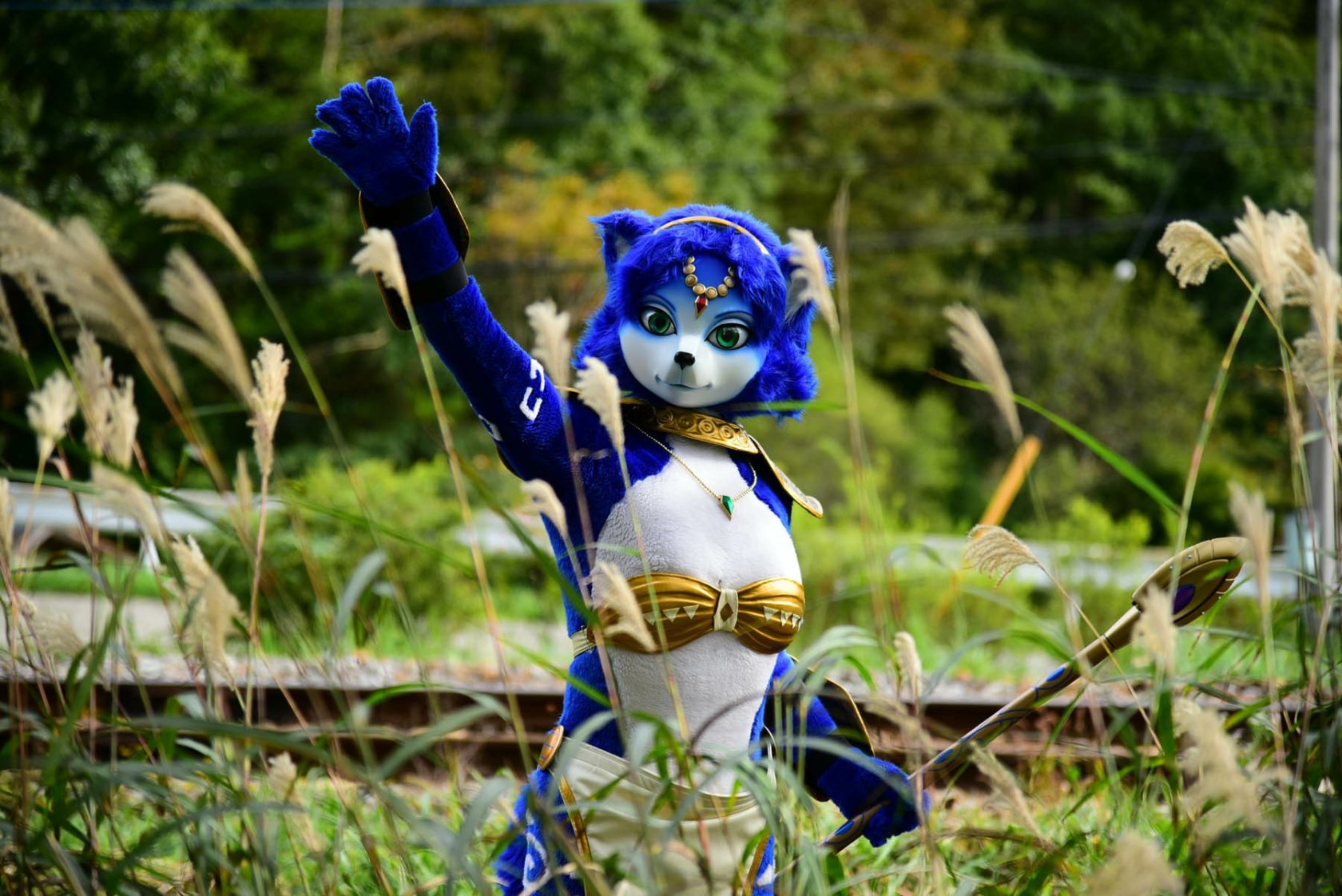 [Ayano Harumaki] Krystal từ Star Fox