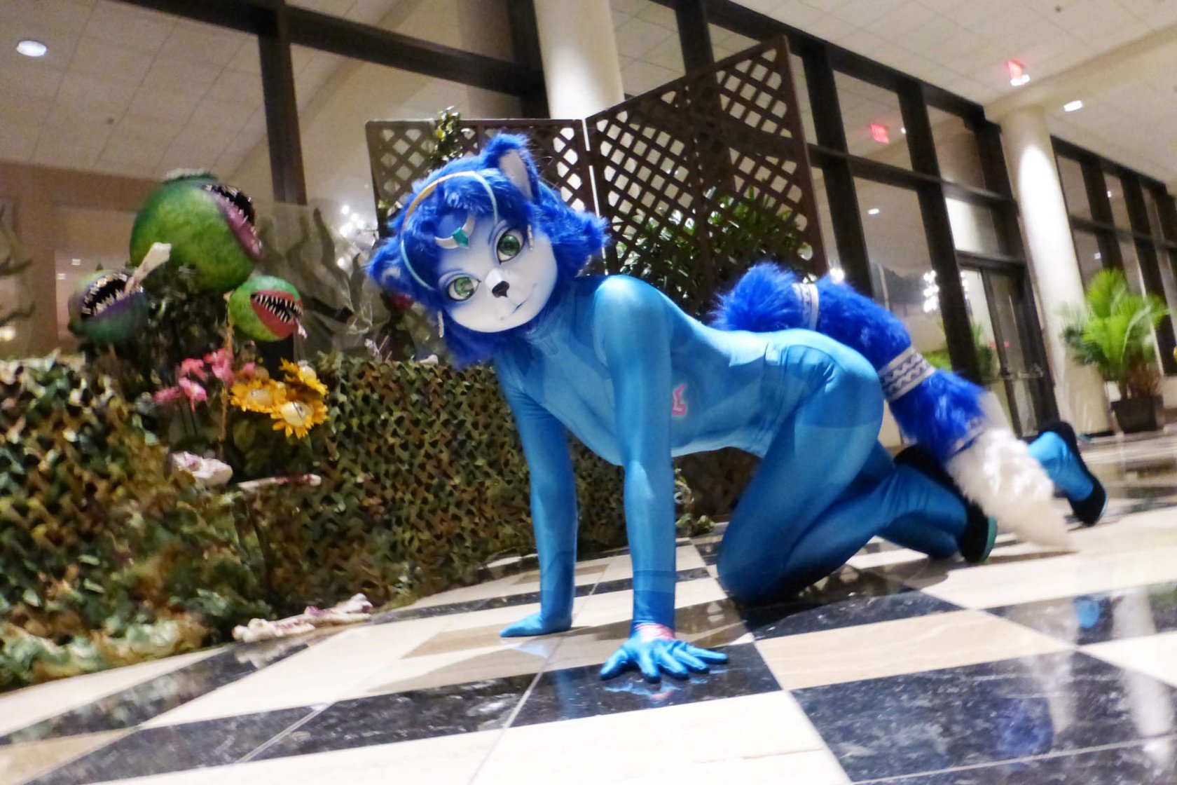 [Ayano Harumaki] Krystal từ Star Fox