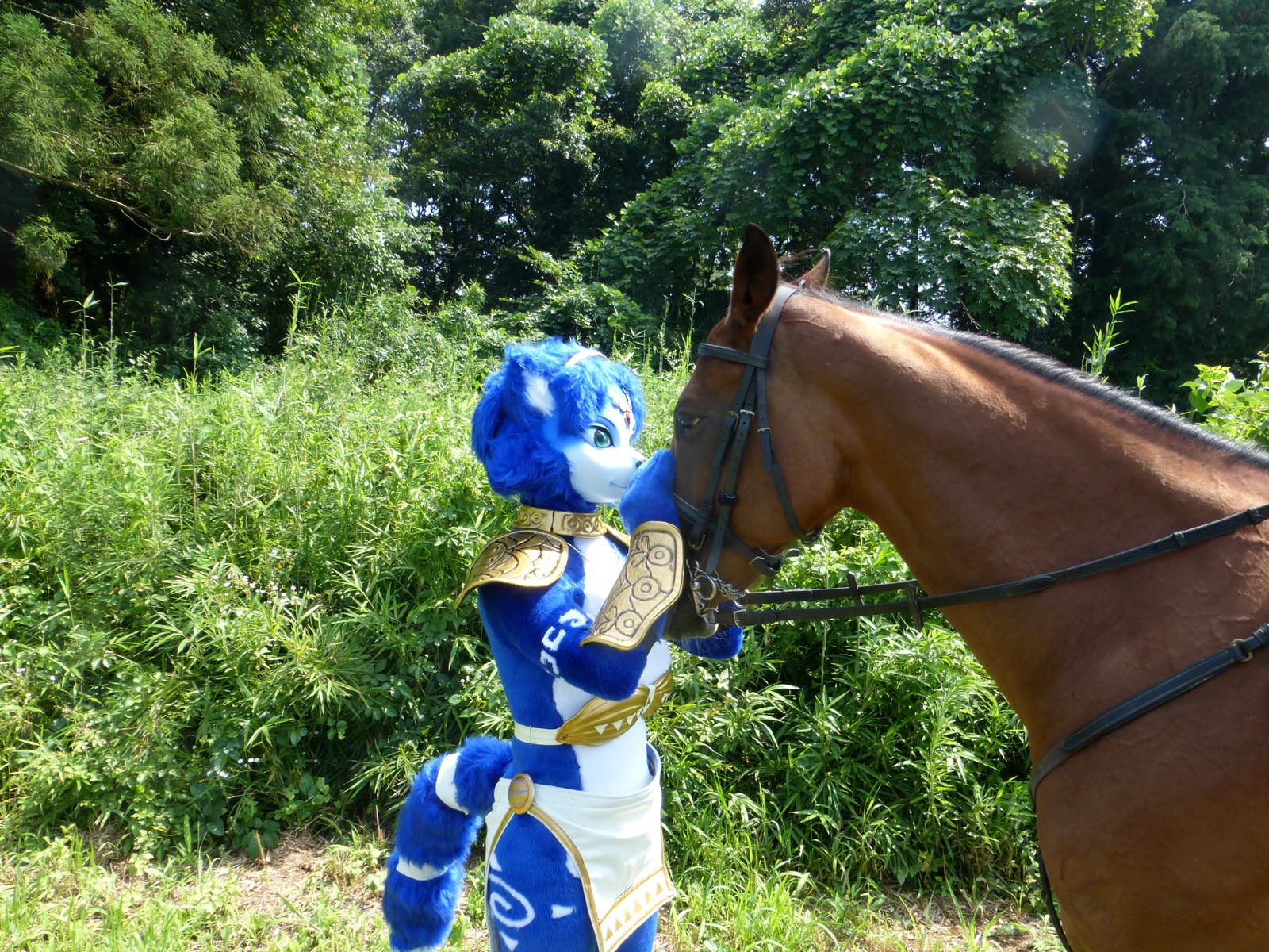 [Ayano Harumaki] Krystal từ Star Fox