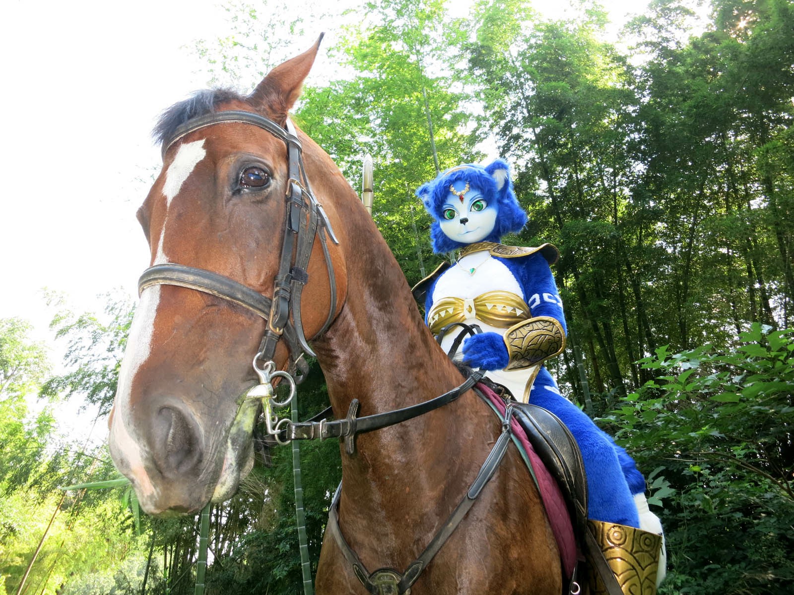 [Ayano Harumaki] Krystal từ Star Fox