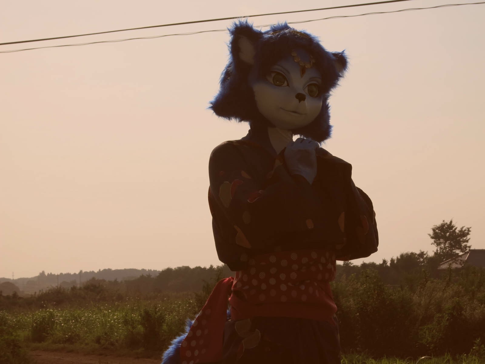 [Ayano Harumaki] Krystal từ Star Fox