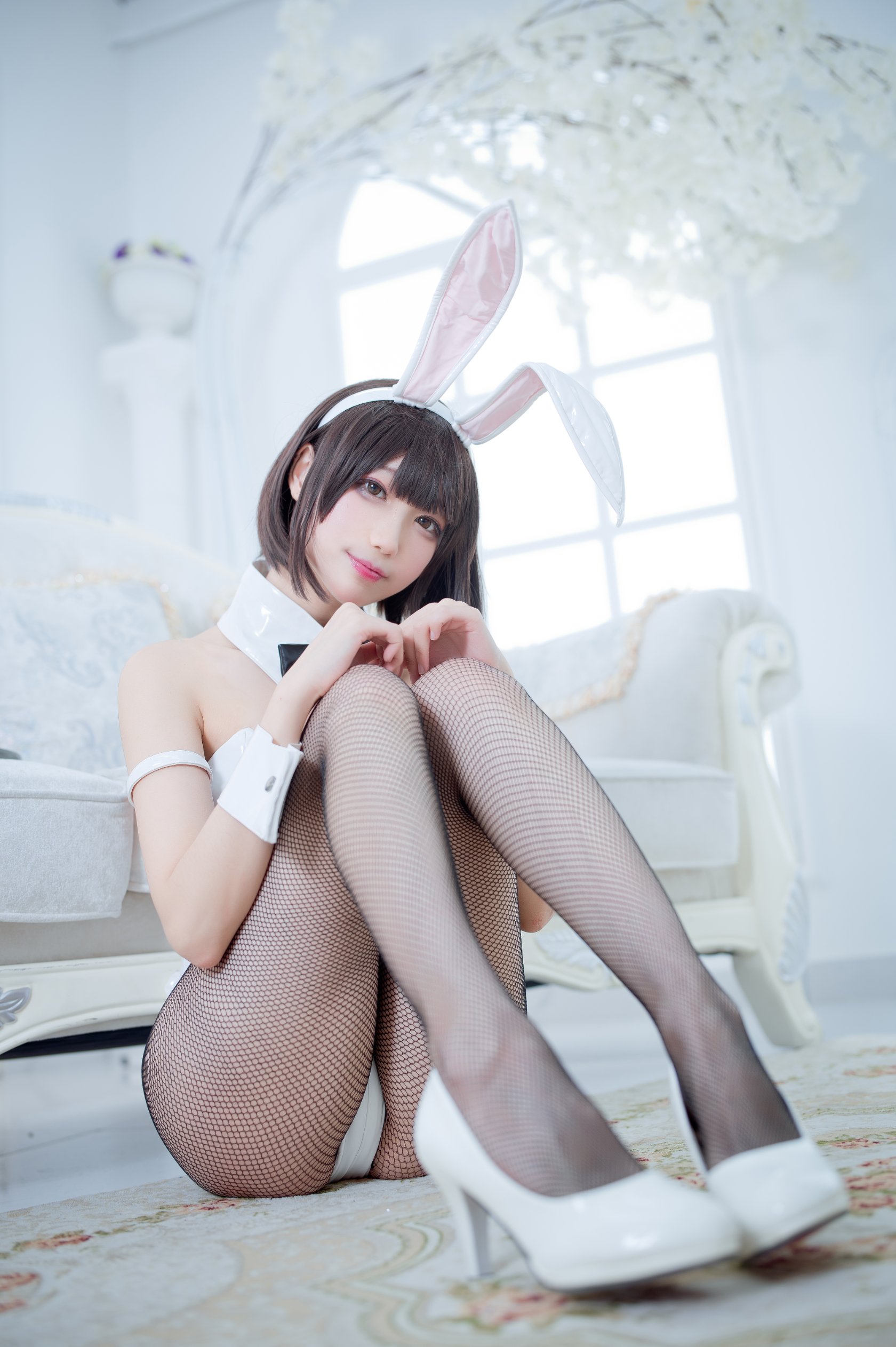 [Zhou Ji là một con thỏ dễ thương] Kato Megumi Bunny