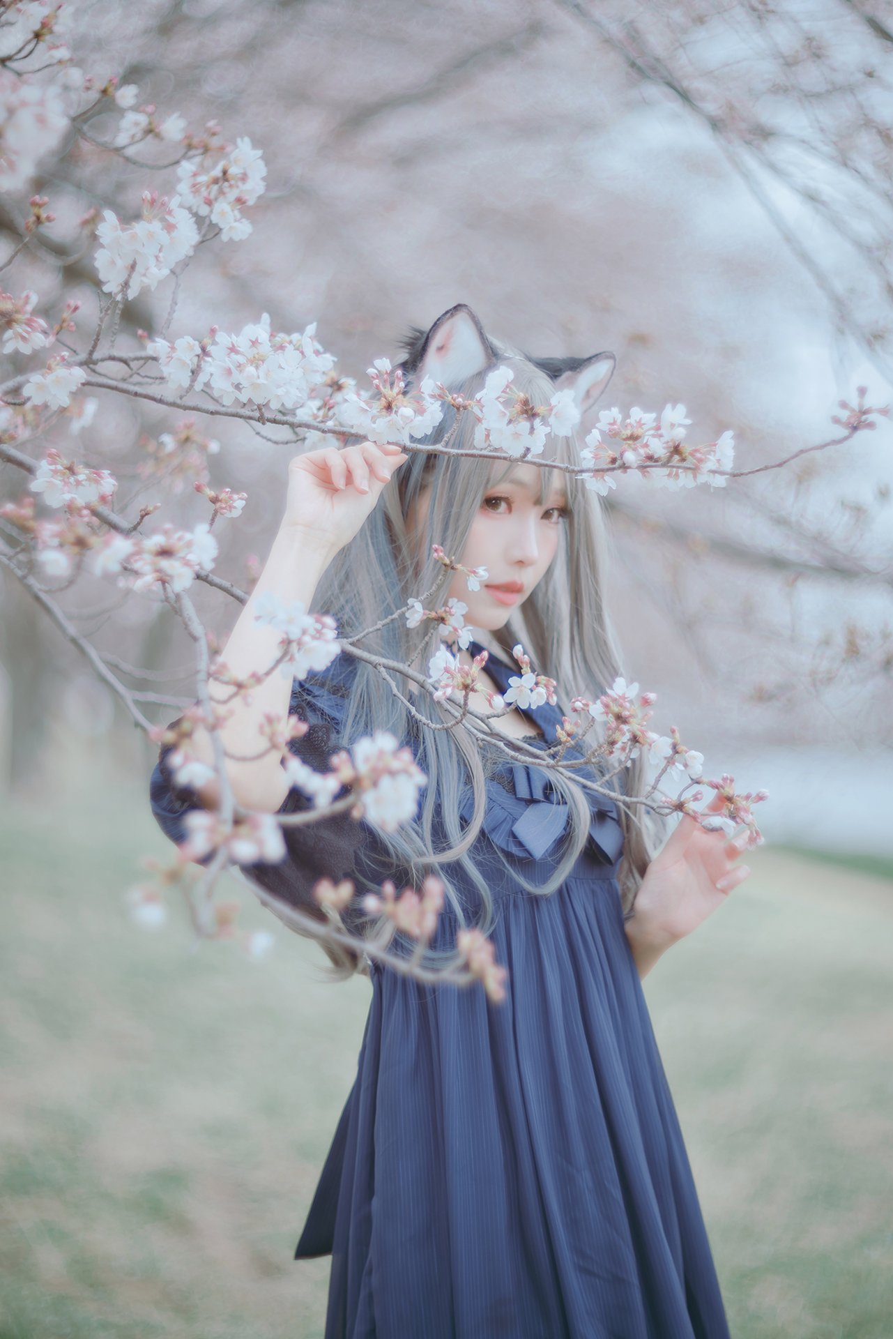 [Ely] Sakura Sakura 2021