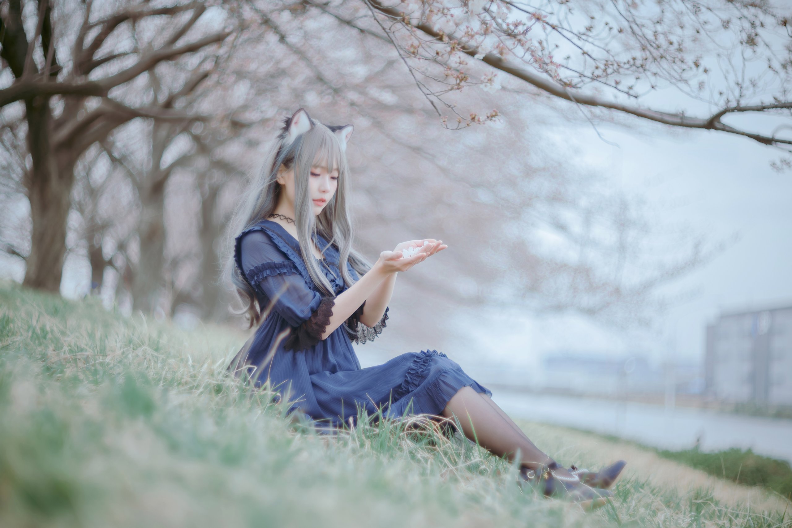 [Ely] Sakura Sakura 2021