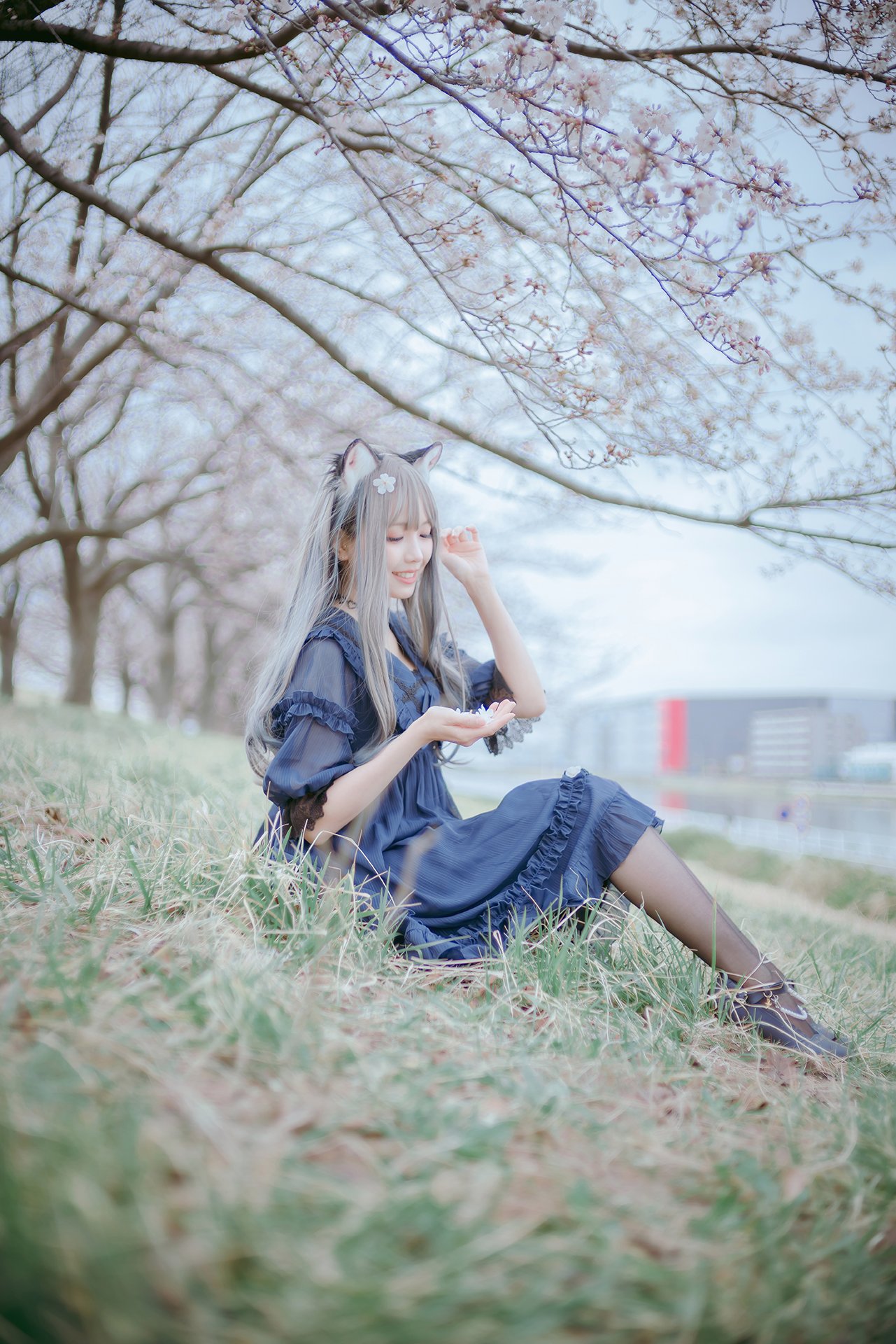 [Ely] Sakura Sakura 2021