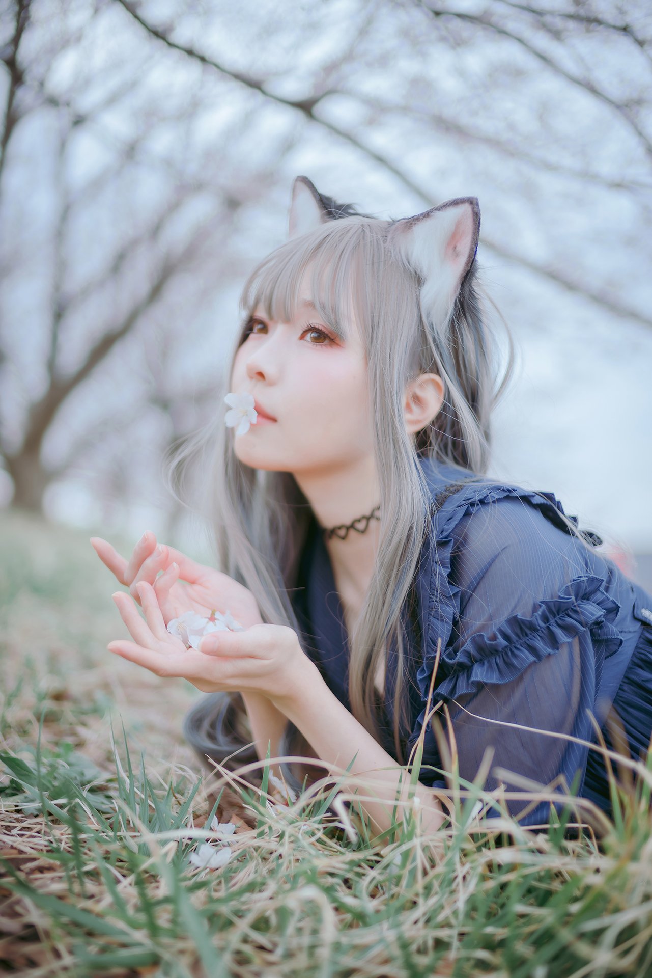 [Ely] Sakura Sakura 2021