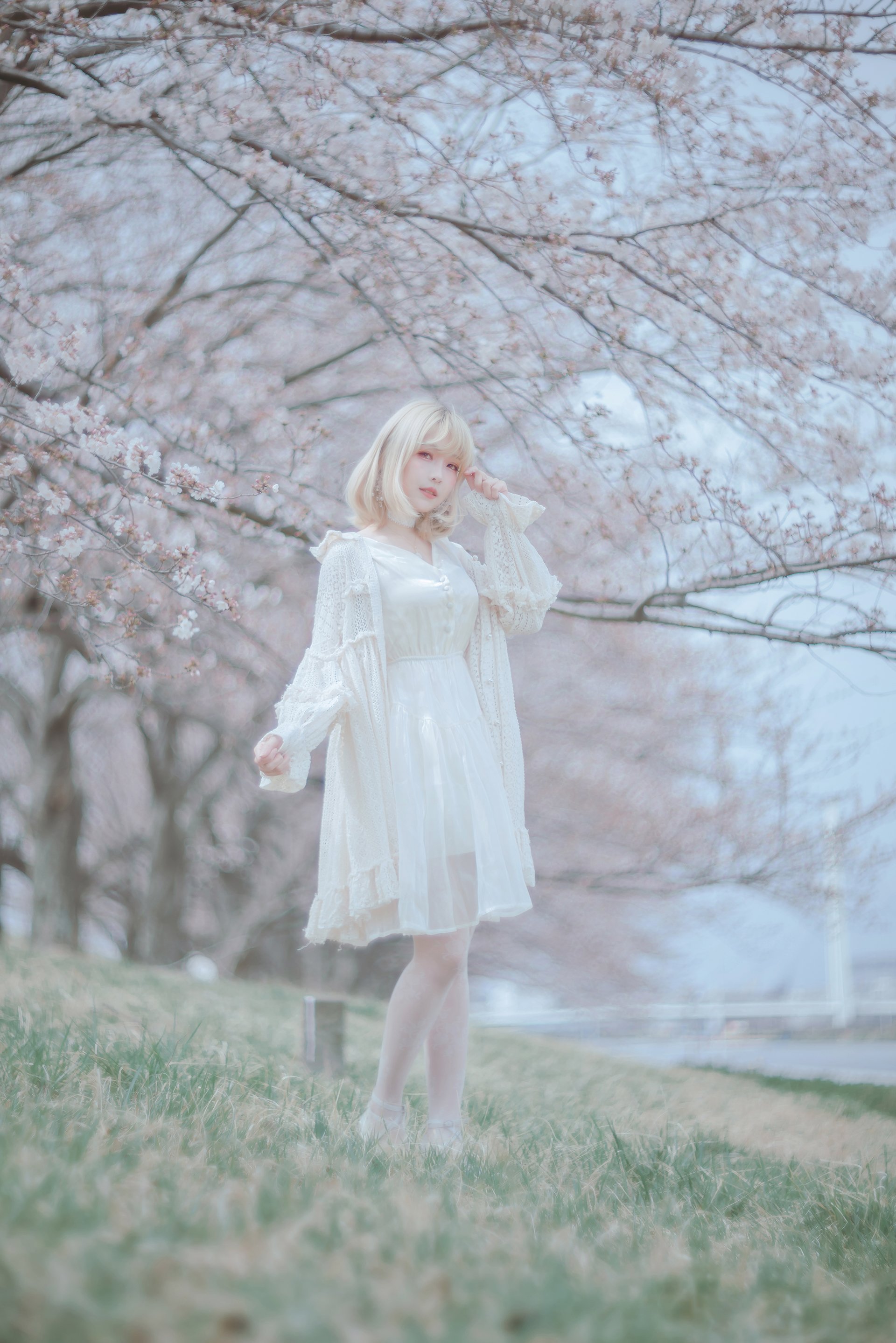 [Ely] Sakura Sakura 2021