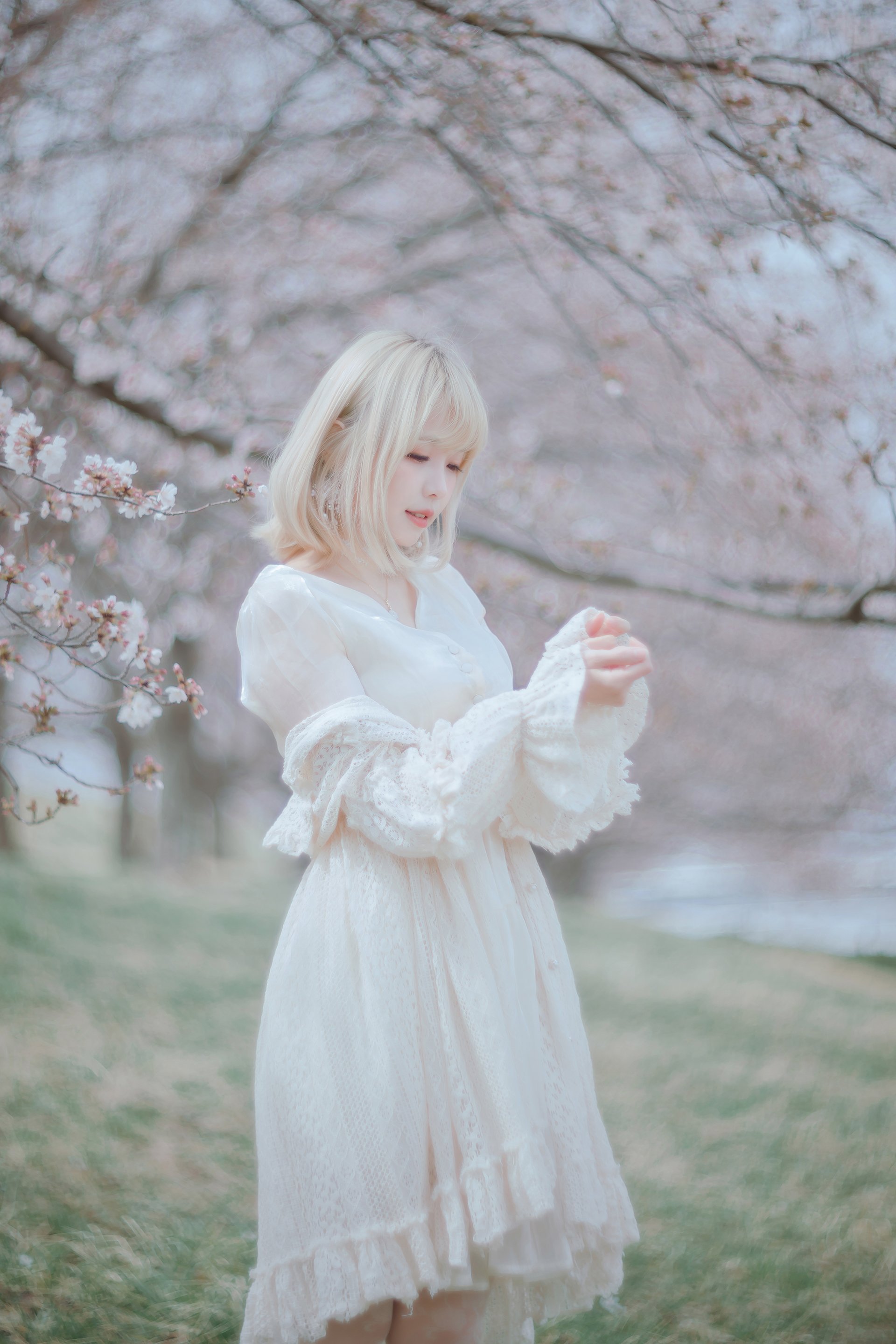 [Ely] Sakura Sakura 2021