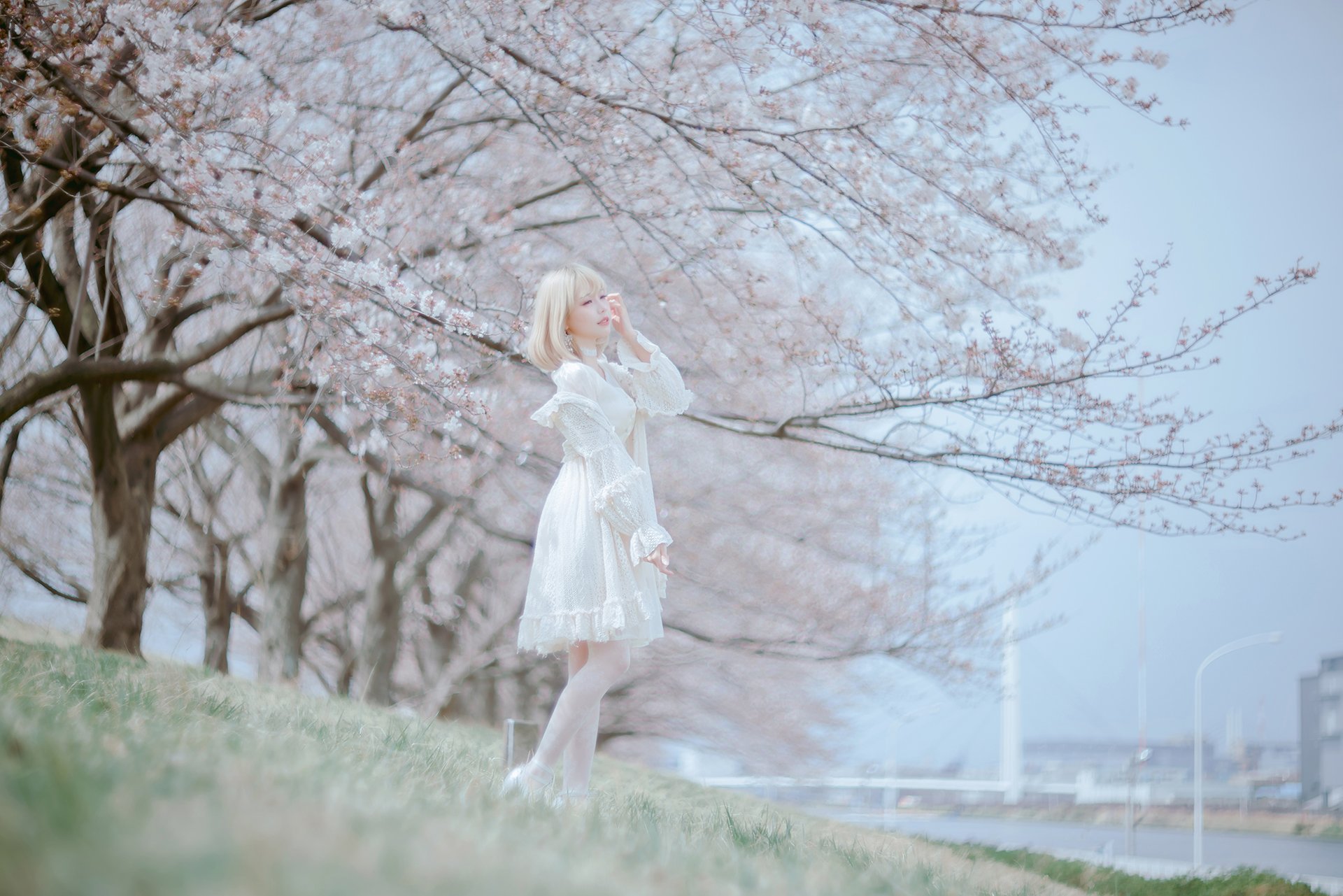 [Ely] Sakura Sakura 2021