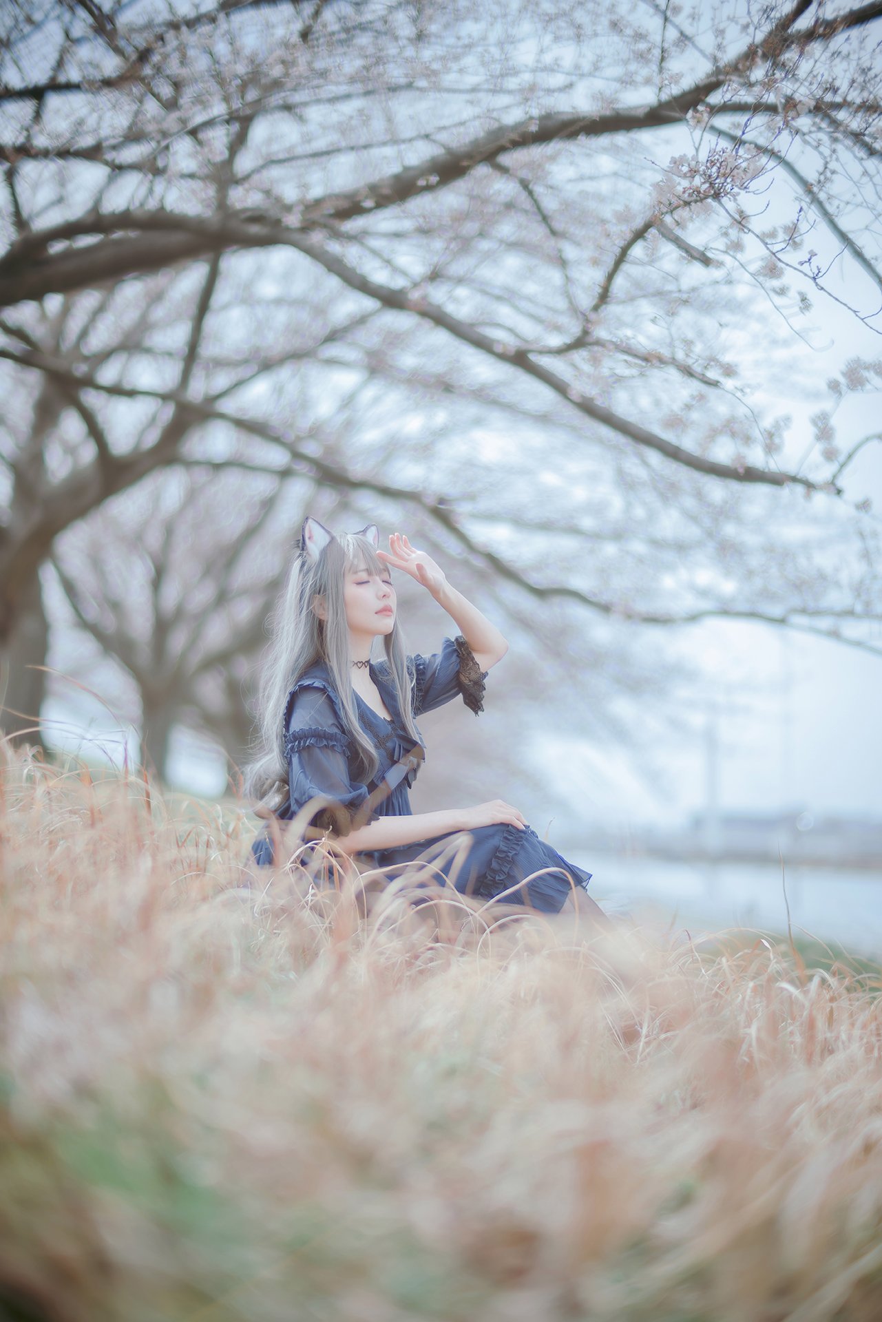 [Ely] Sakura Sakura 2021