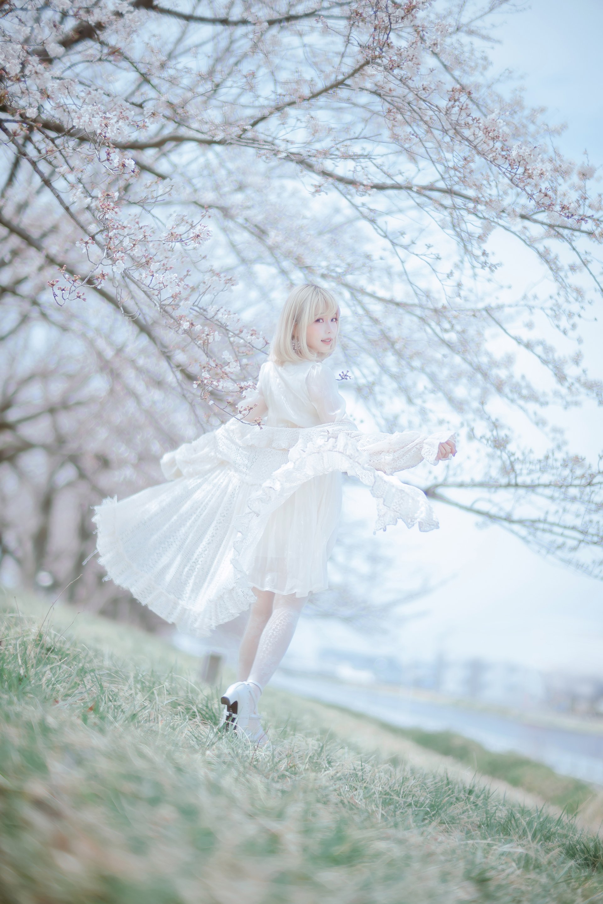 [Ely] Sakura Sakura 2021