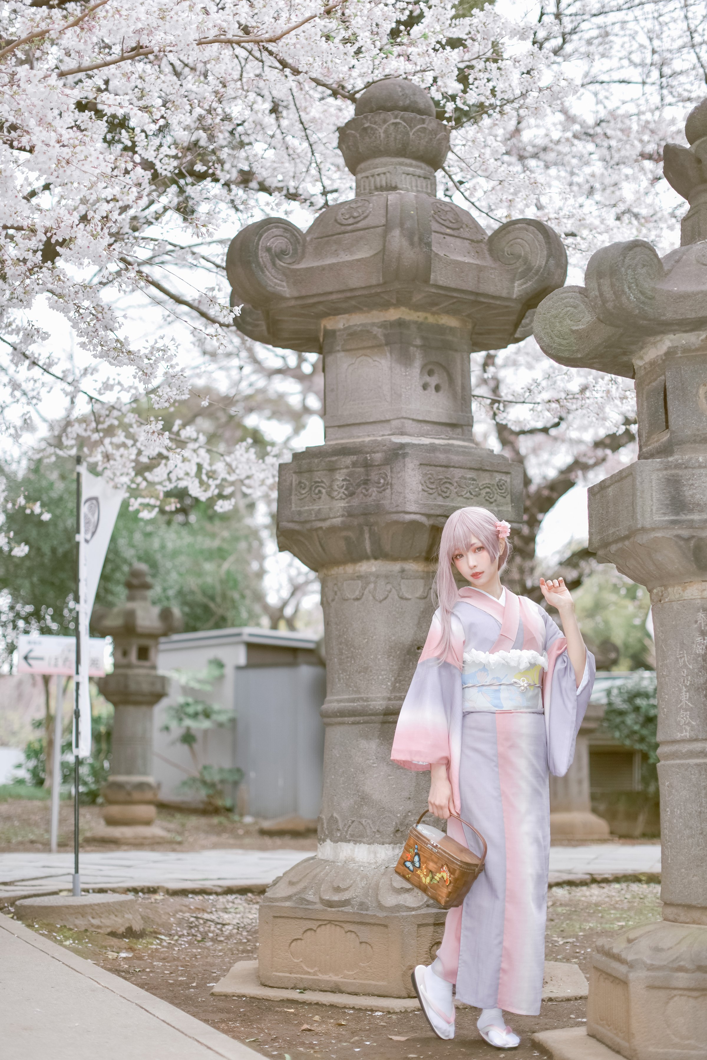 [Ely] Sakura Sakura 2021