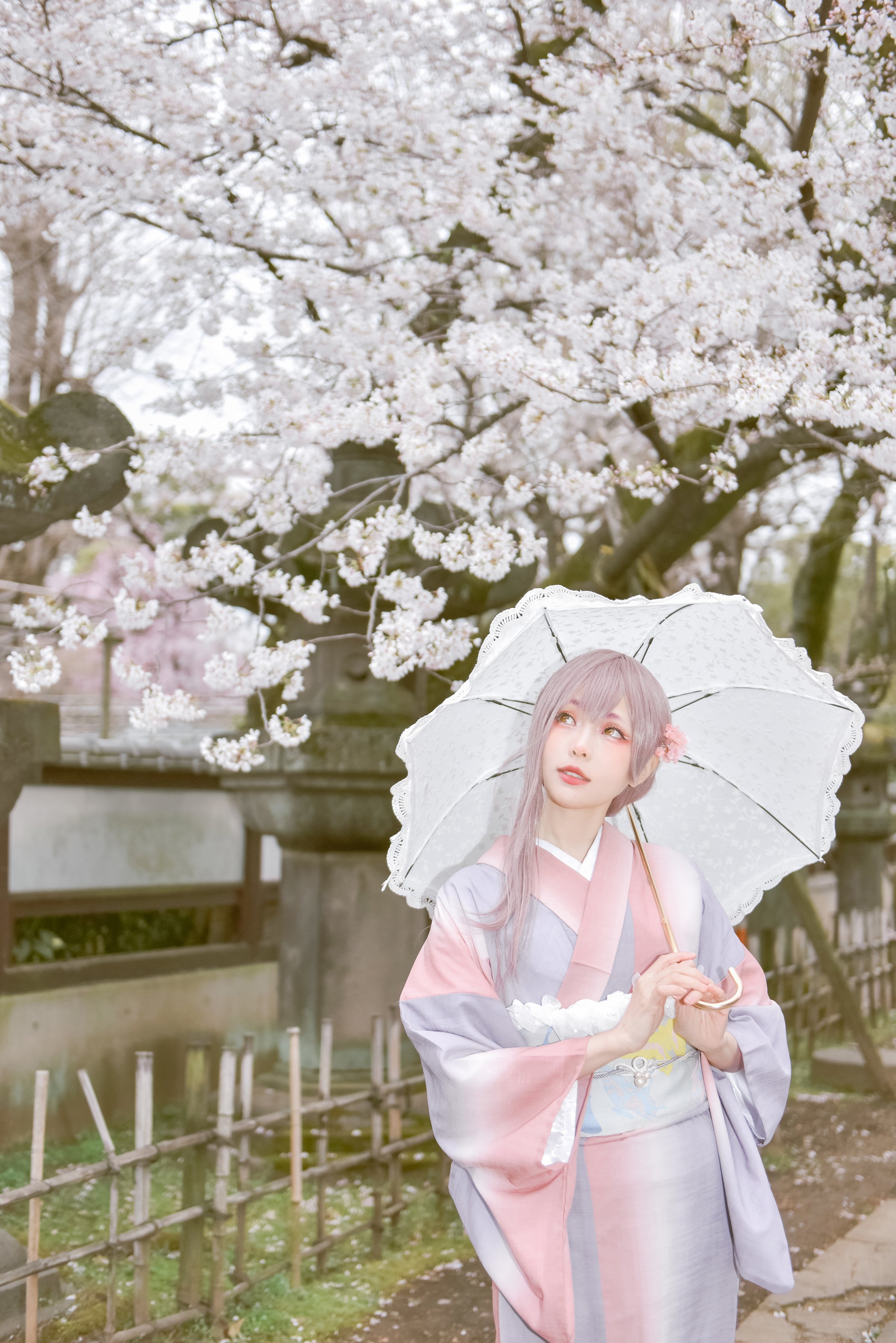 [Ely] Sakura Sakura 2021