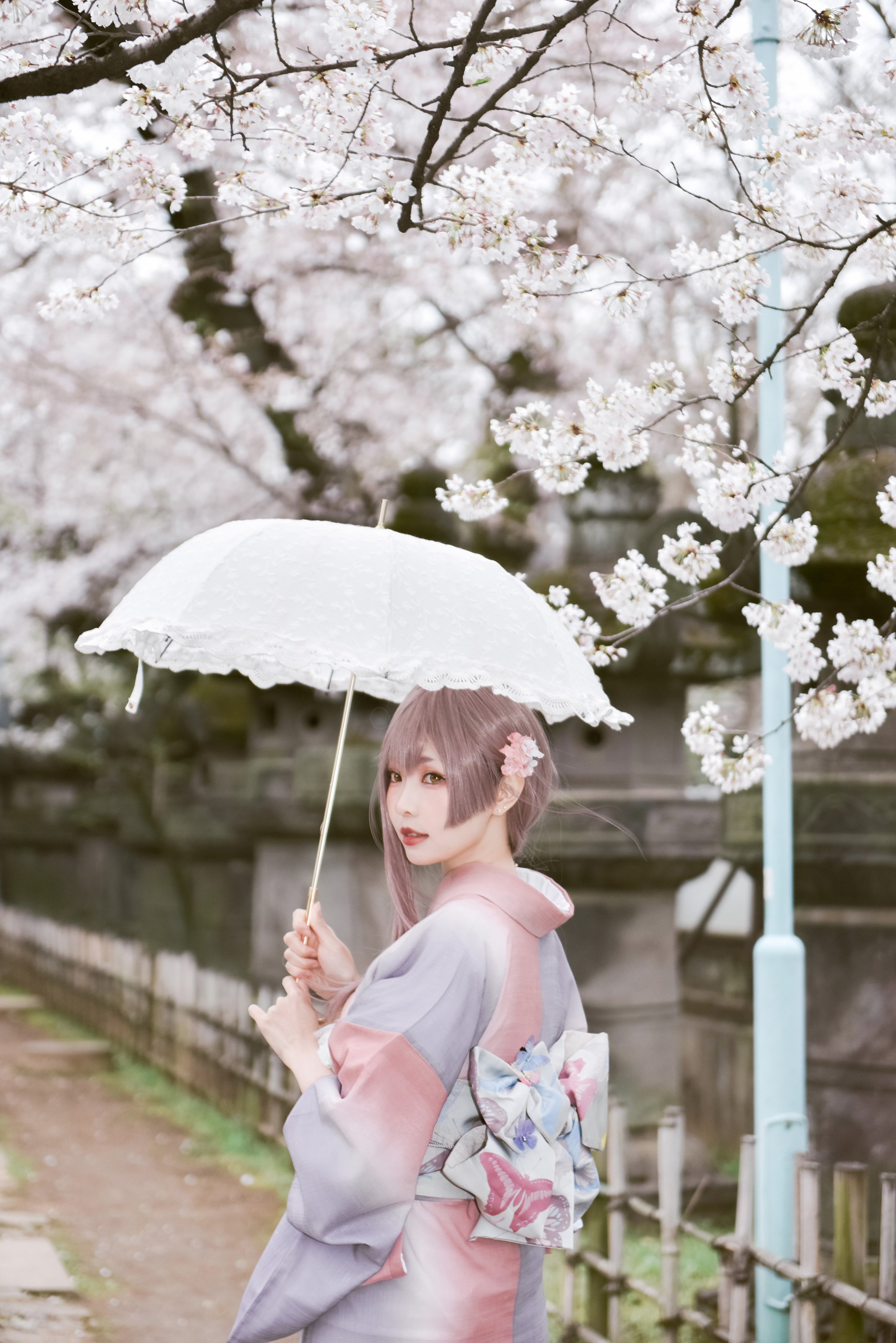 [Ely] Sakura Sakura 2021