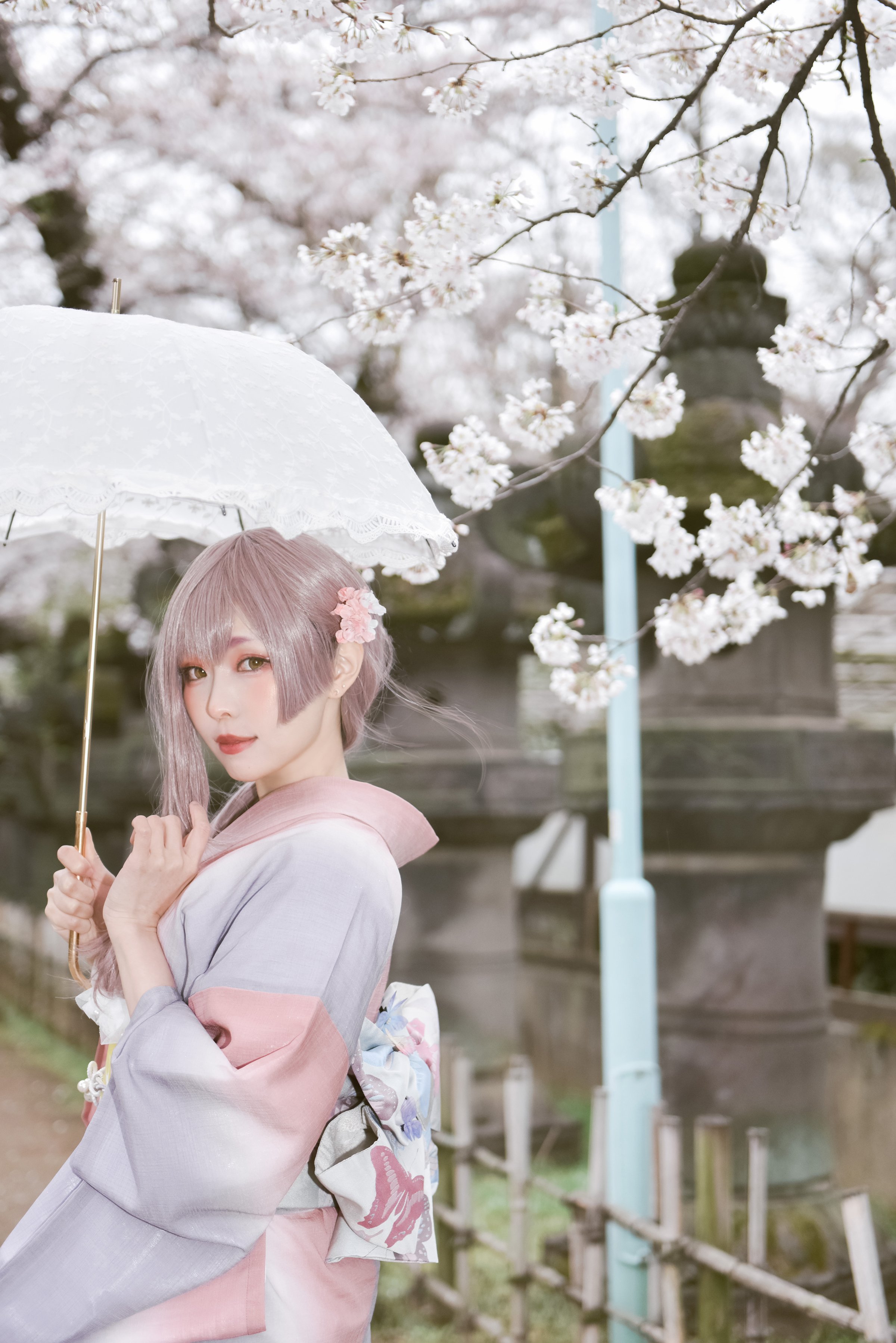 [Ely] Sakura Sakura 2021