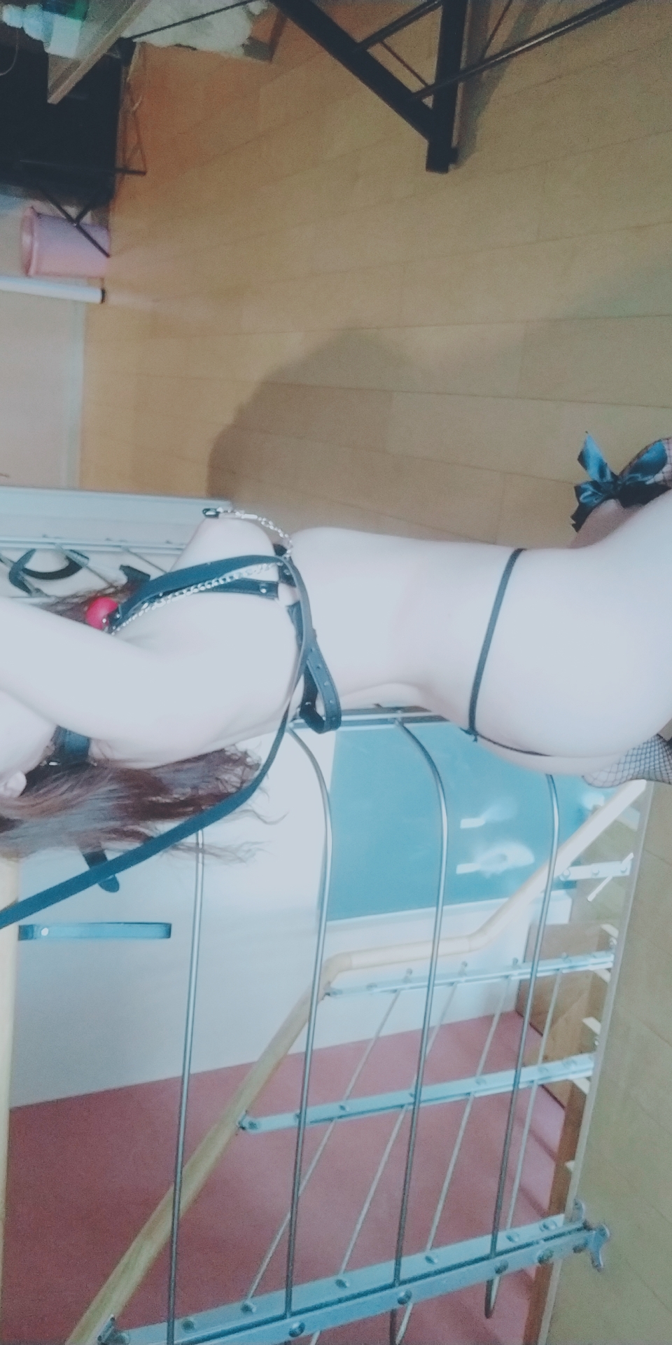 [Miss Fousy Dog] Wax Drop SM Set