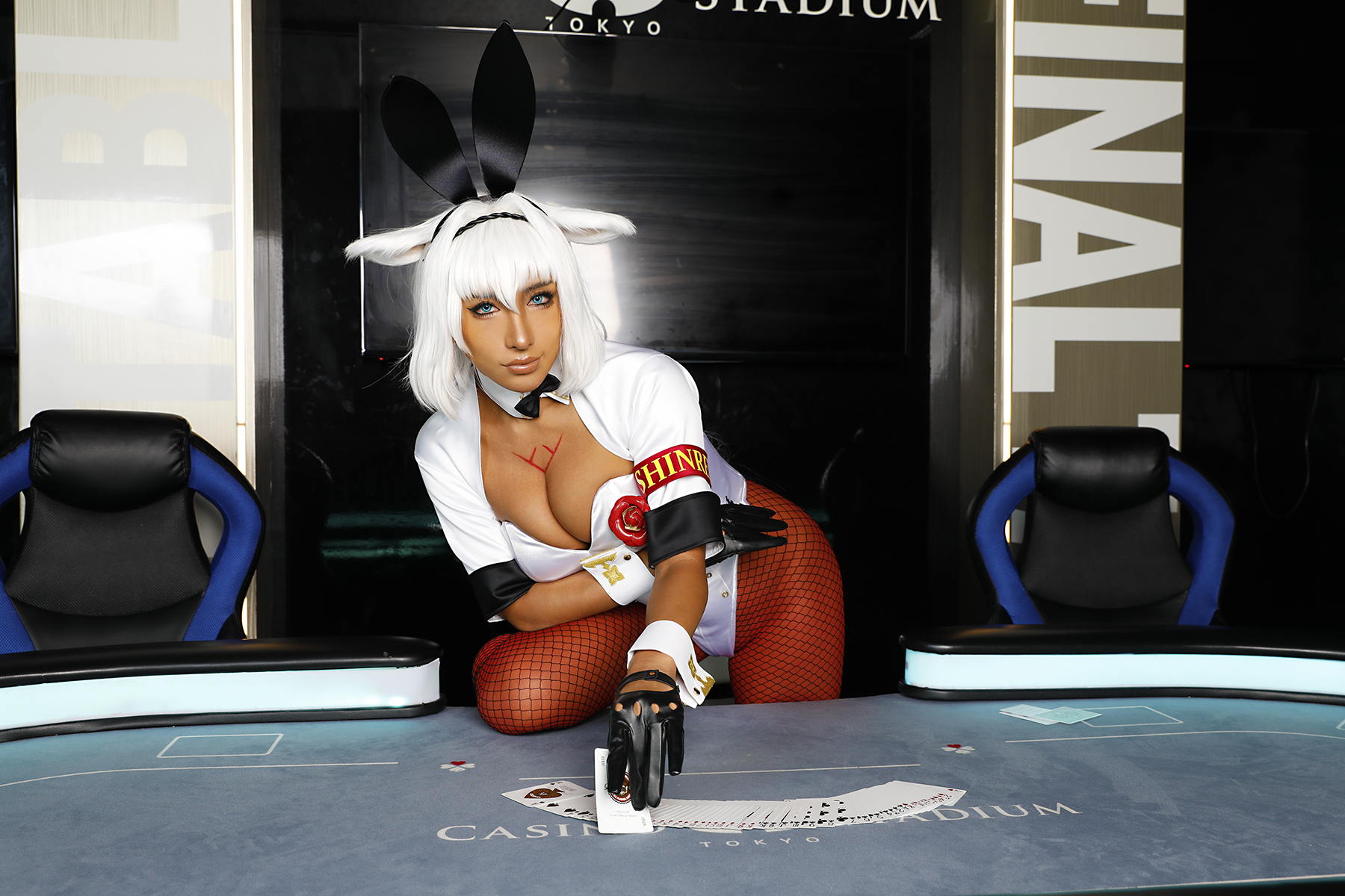 [Nonsummerjack] FGO Kainis Invincible Mode (Fate Grand Order)