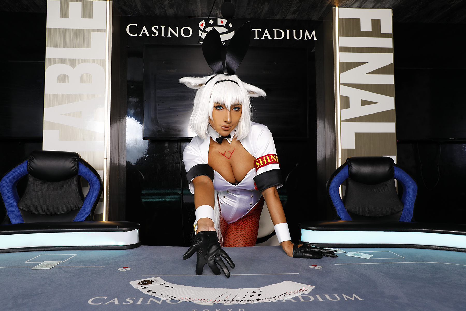 [Nonsummerjack] FGO Kainis Invincible Mode (Fate Grand Order)