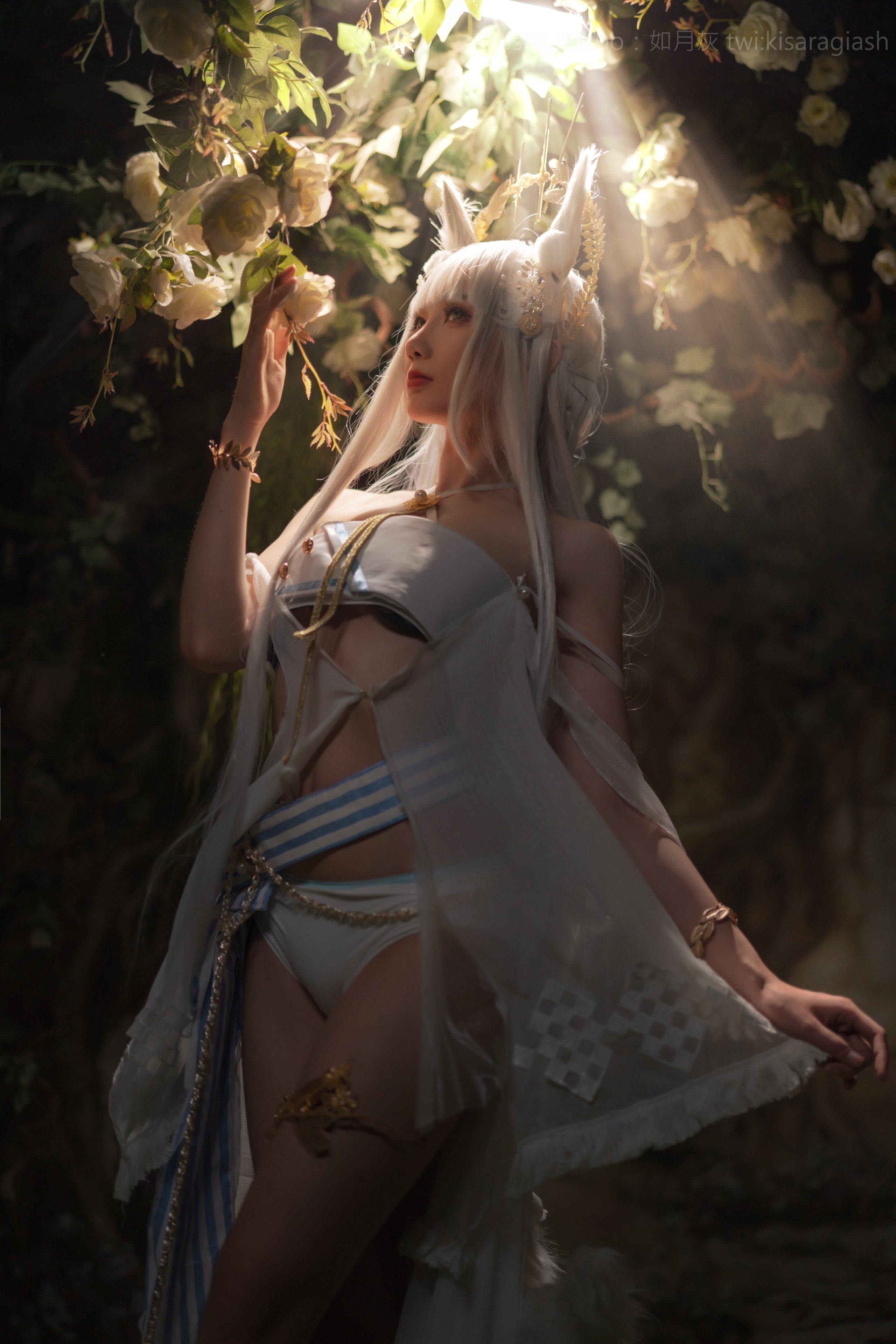 [Kisaragi tro như mặt trăng] Ark of Tomorrow Platinum