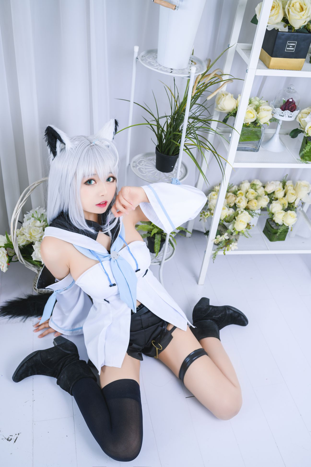 [Black Cat ovo] thổi tuyết trên trắng