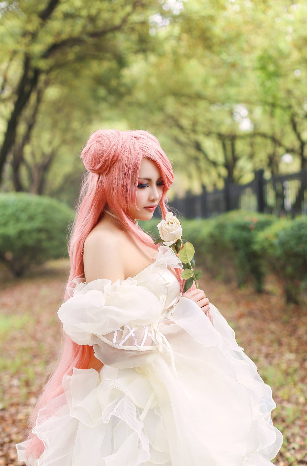 Bởi fei cos [2]