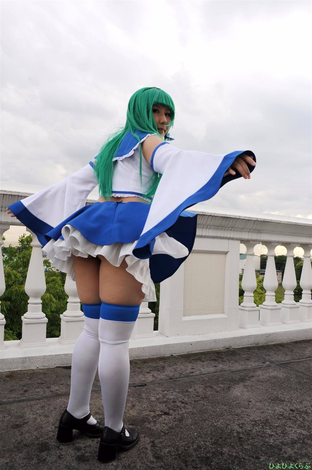 [Tình yêu gà] Gà Woo