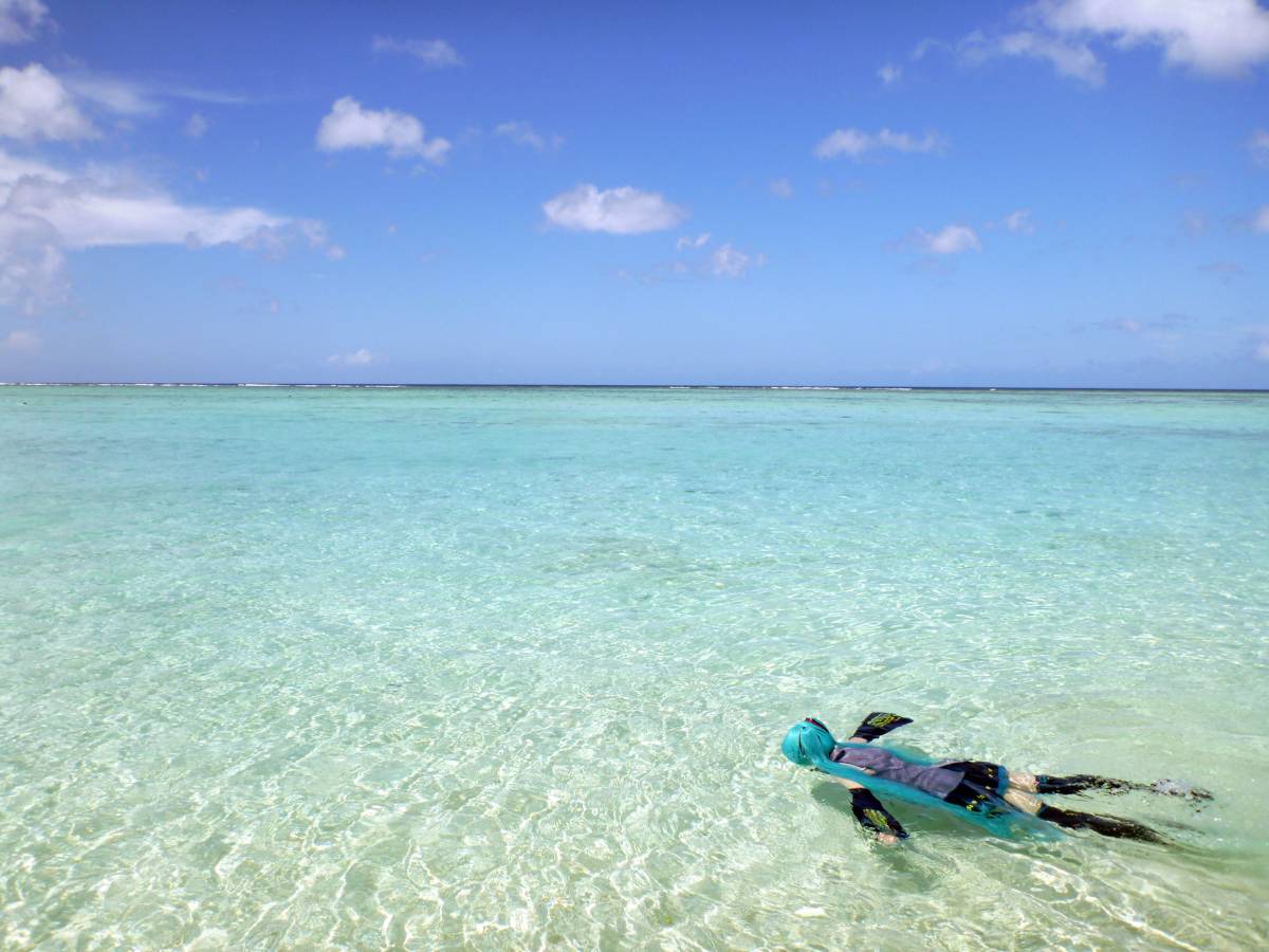 [Vương miện sữa] Underoid