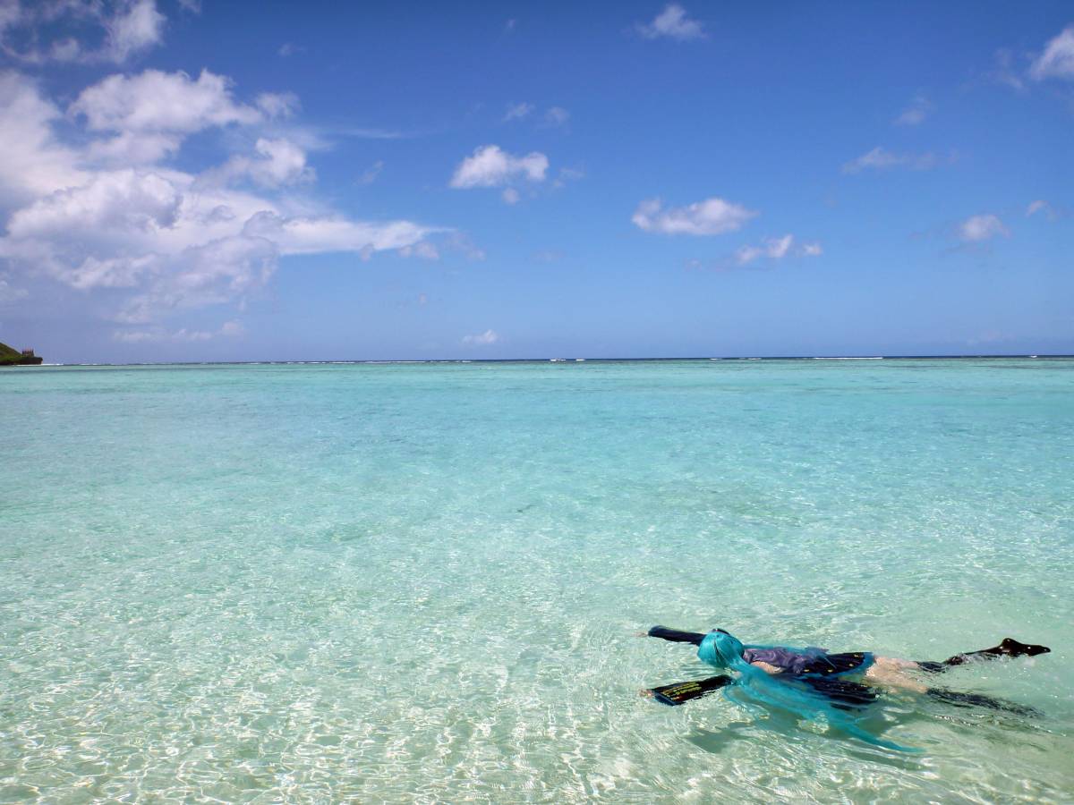 [Vương miện sữa] Underoid