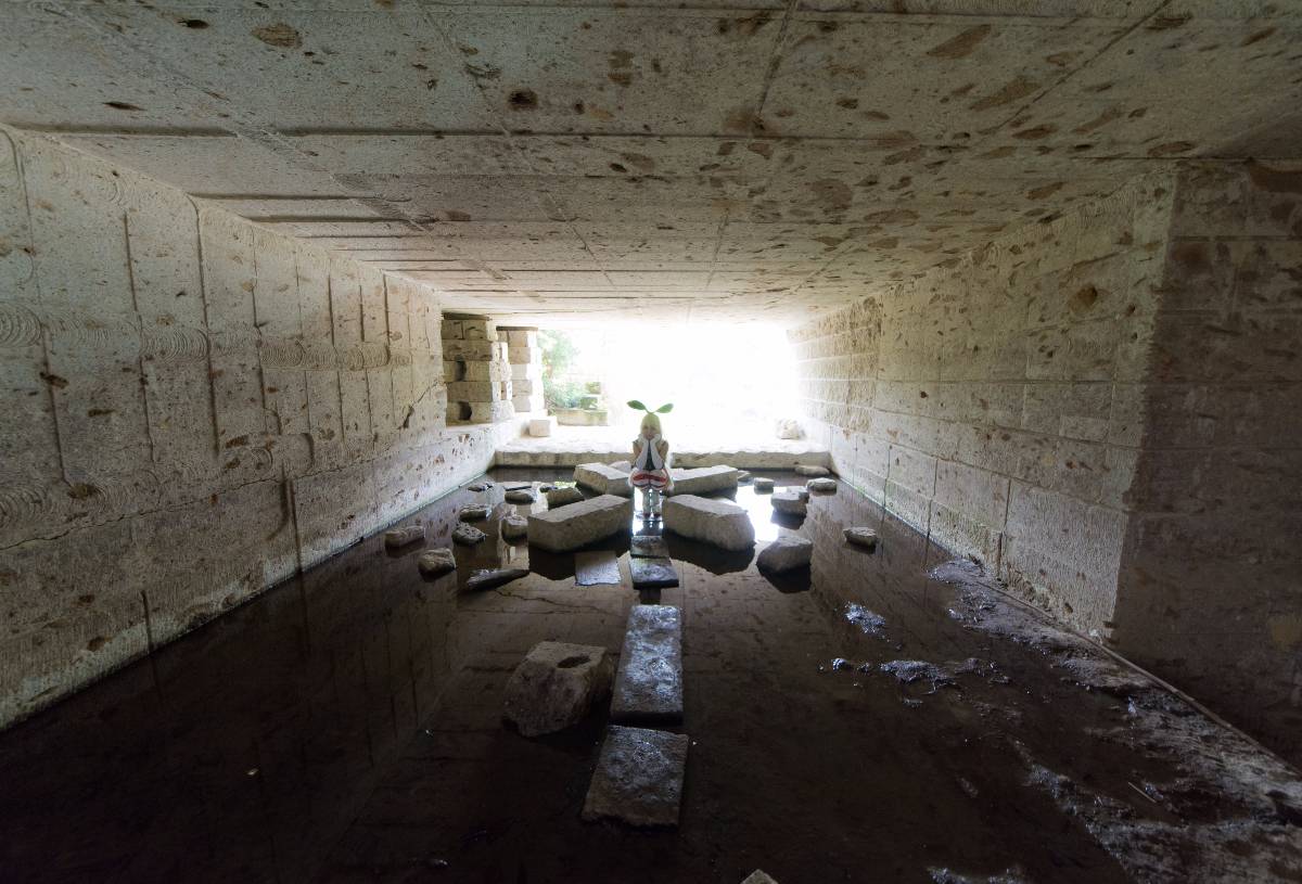 [Dans la Cage] Khóa tu đảo Kiska!