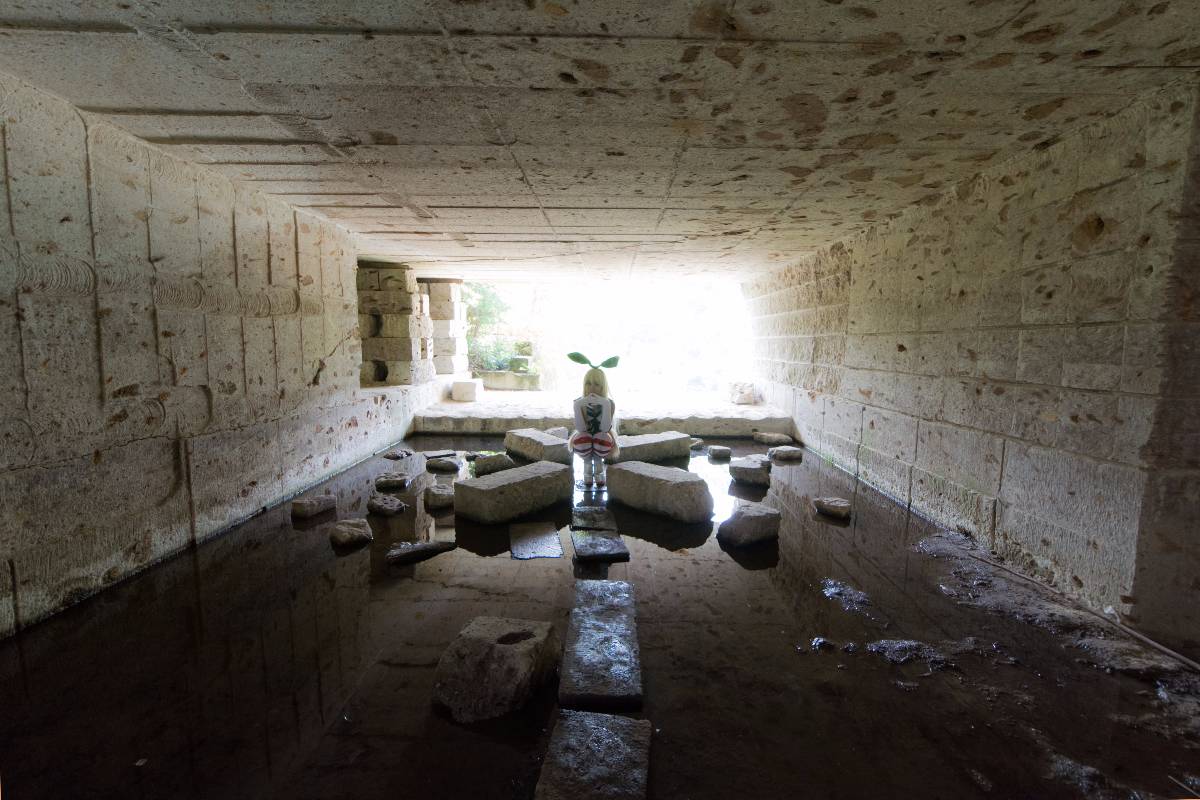 [Dans la Cage] Khóa tu đảo Kiska!