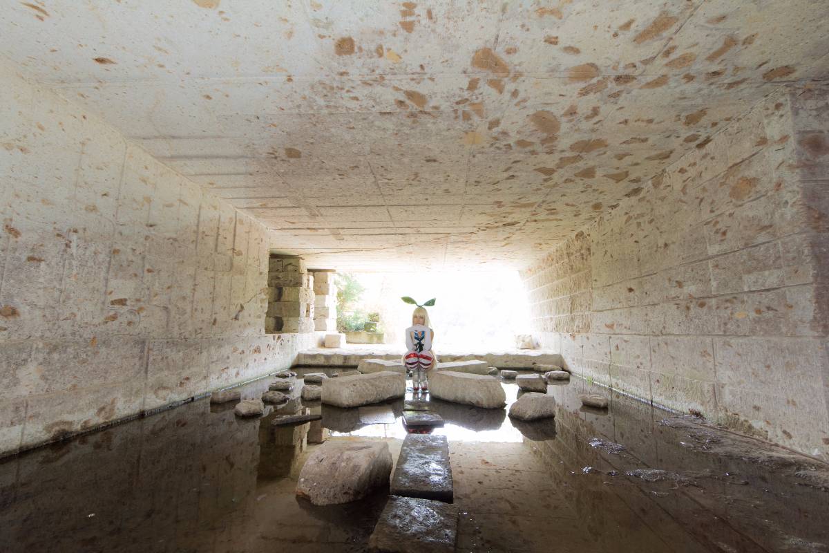 [Dans la Cage] Khóa tu đảo Kiska!