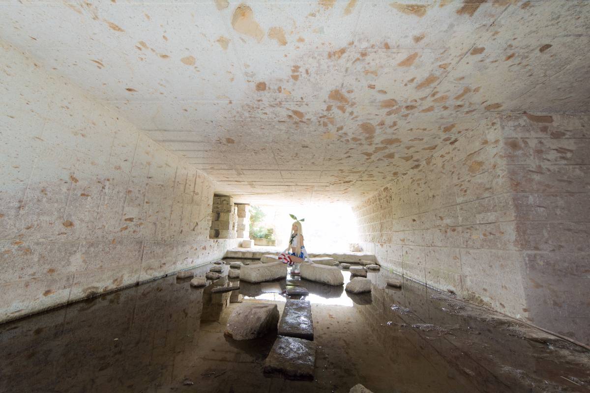 [Dans la Cage] Khóa tu đảo Kiska!