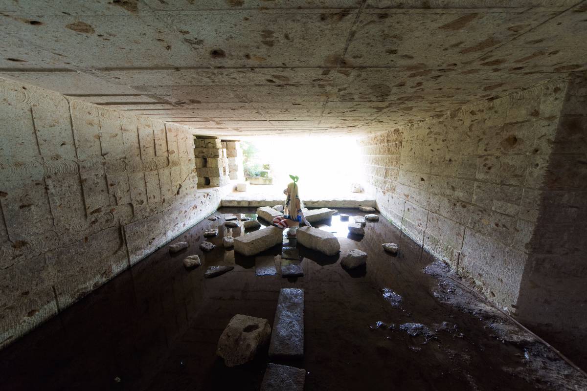 [Dans la Cage] Khóa tu đảo Kiska!