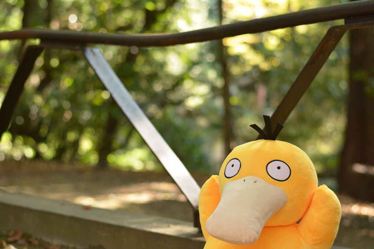 [Nonsummerjack] Pokenon!