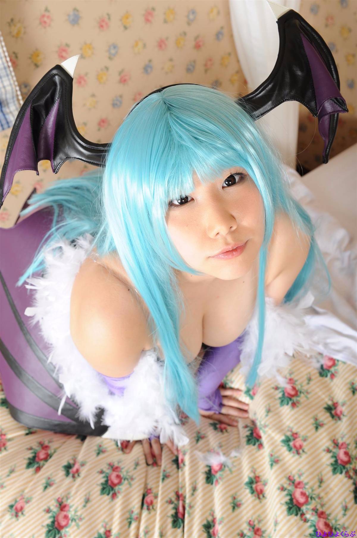 [Hiyohii Love] Thợ săn Tits Tits lớn