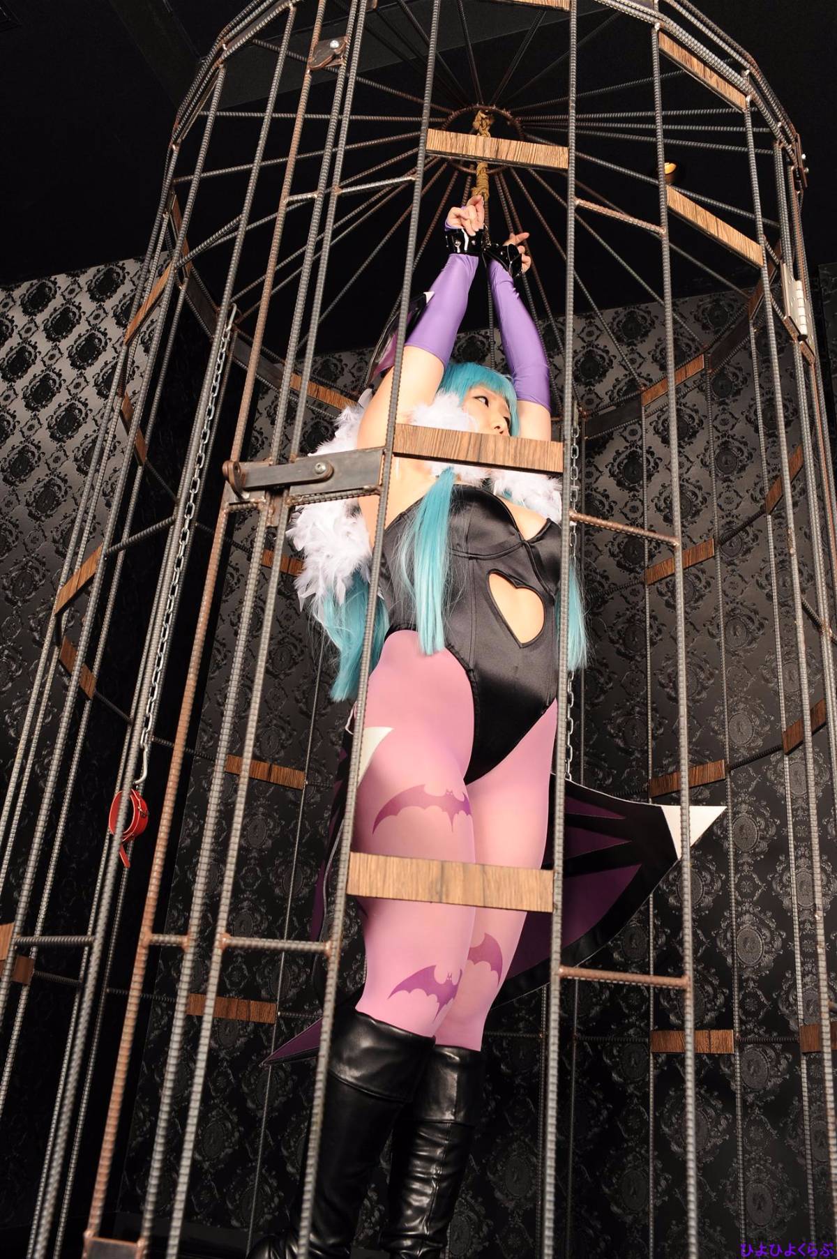 [Hiyohii Love] Thợ săn Tits Tits lớn