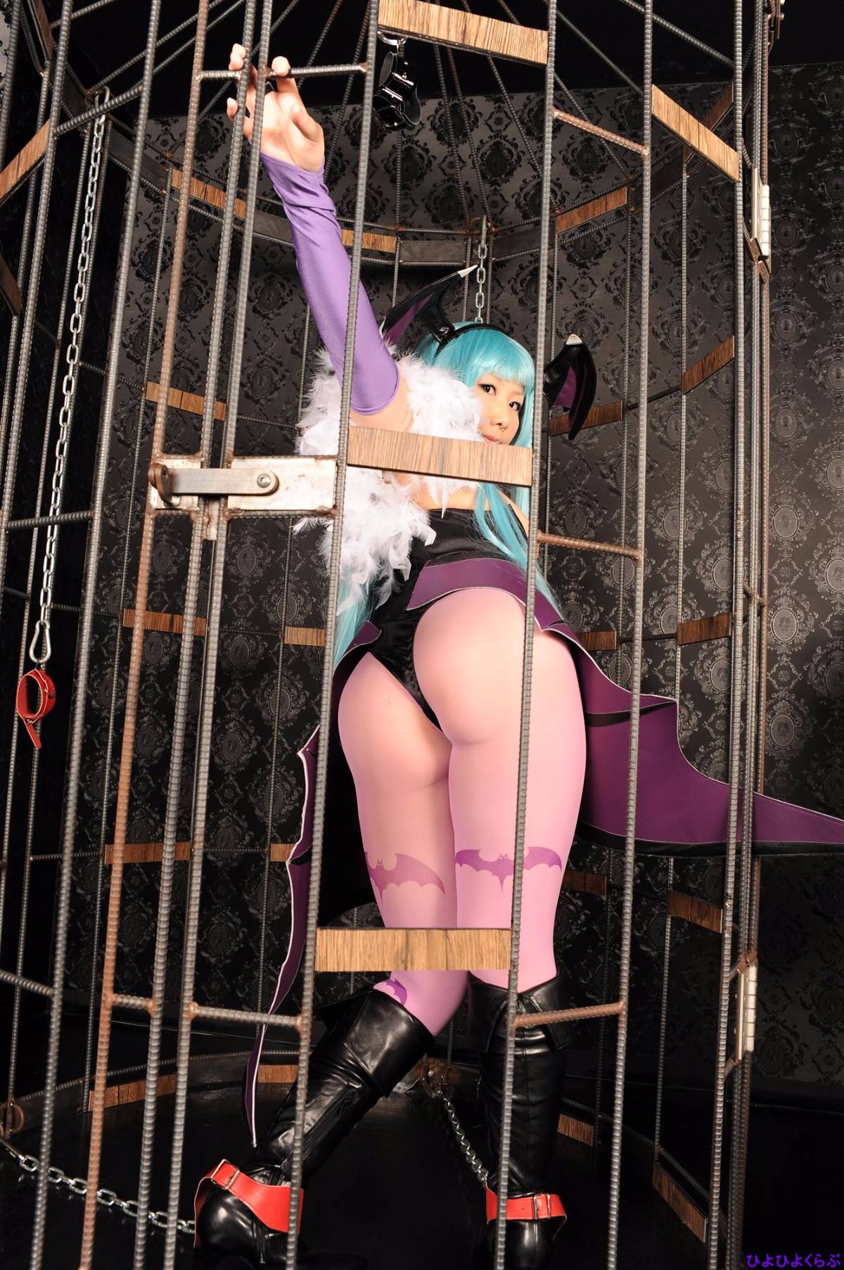 [Hiyohii Love] Thợ săn Tits Tits lớn