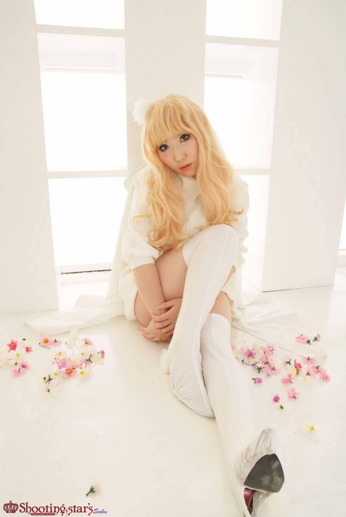 [Chụp Star's] Thỏ sâu thẳm