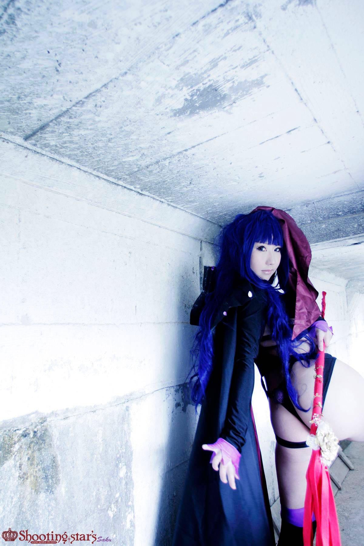 [Chụp Star's] Thỏ sâu thẳm