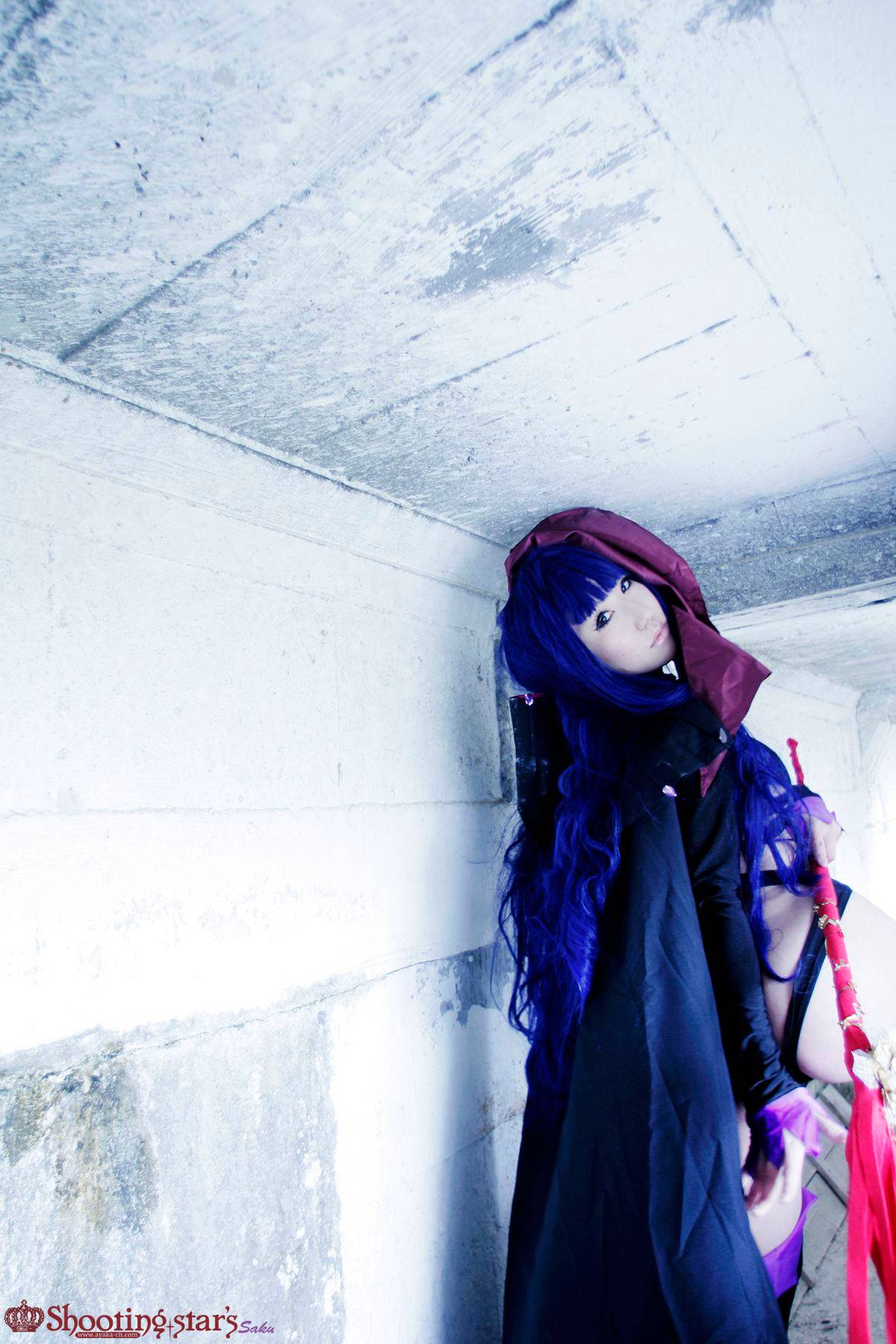 [Chụp Star's] Thỏ sâu thẳm