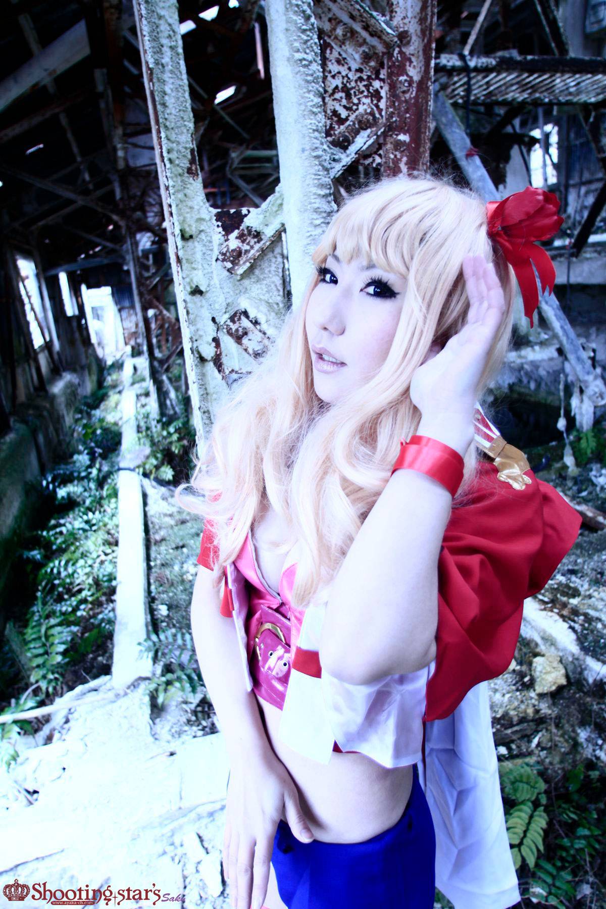 [Chụp Star's] Thỏ sâu thẳm