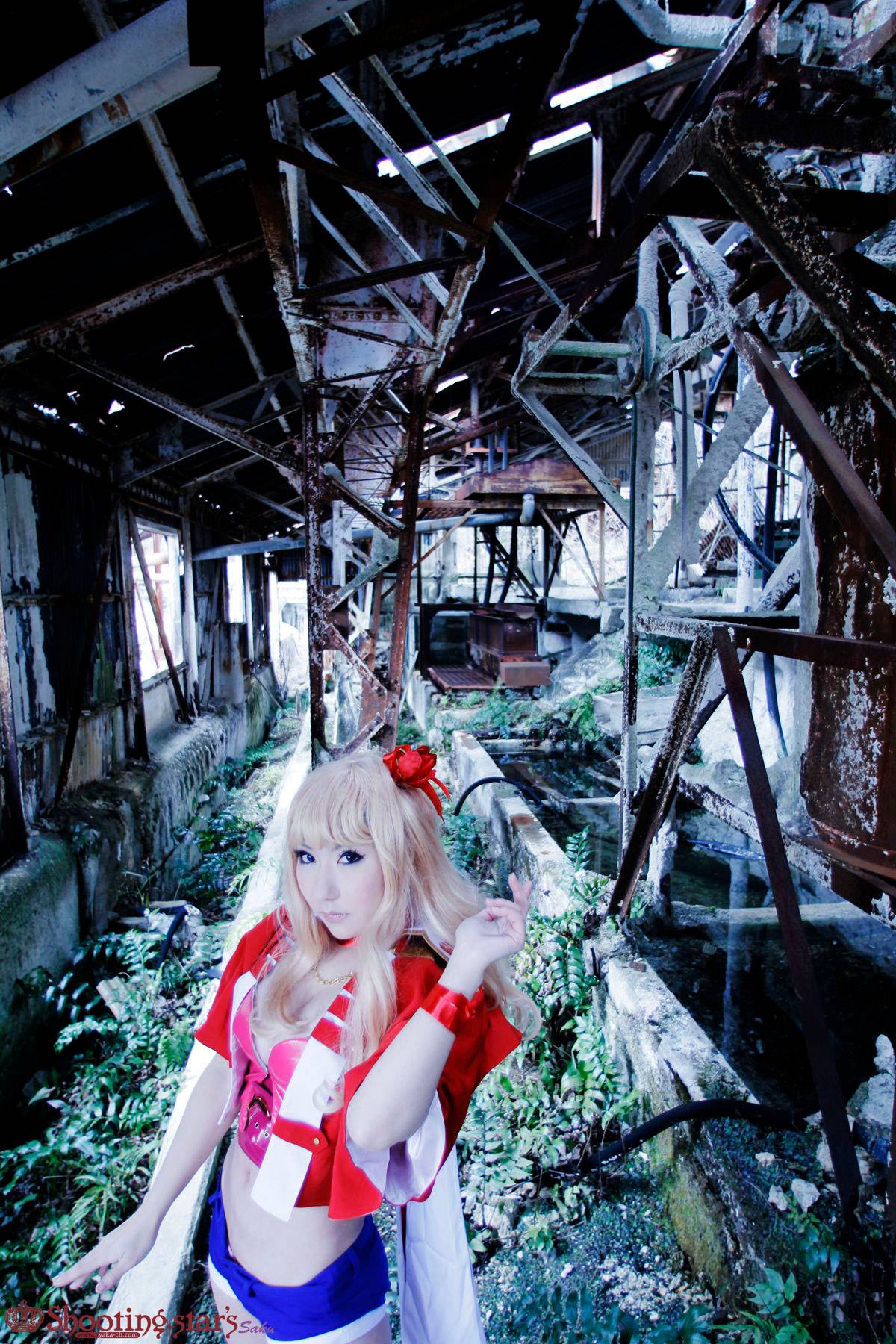 [Chụp Star's] Thỏ sâu thẳm