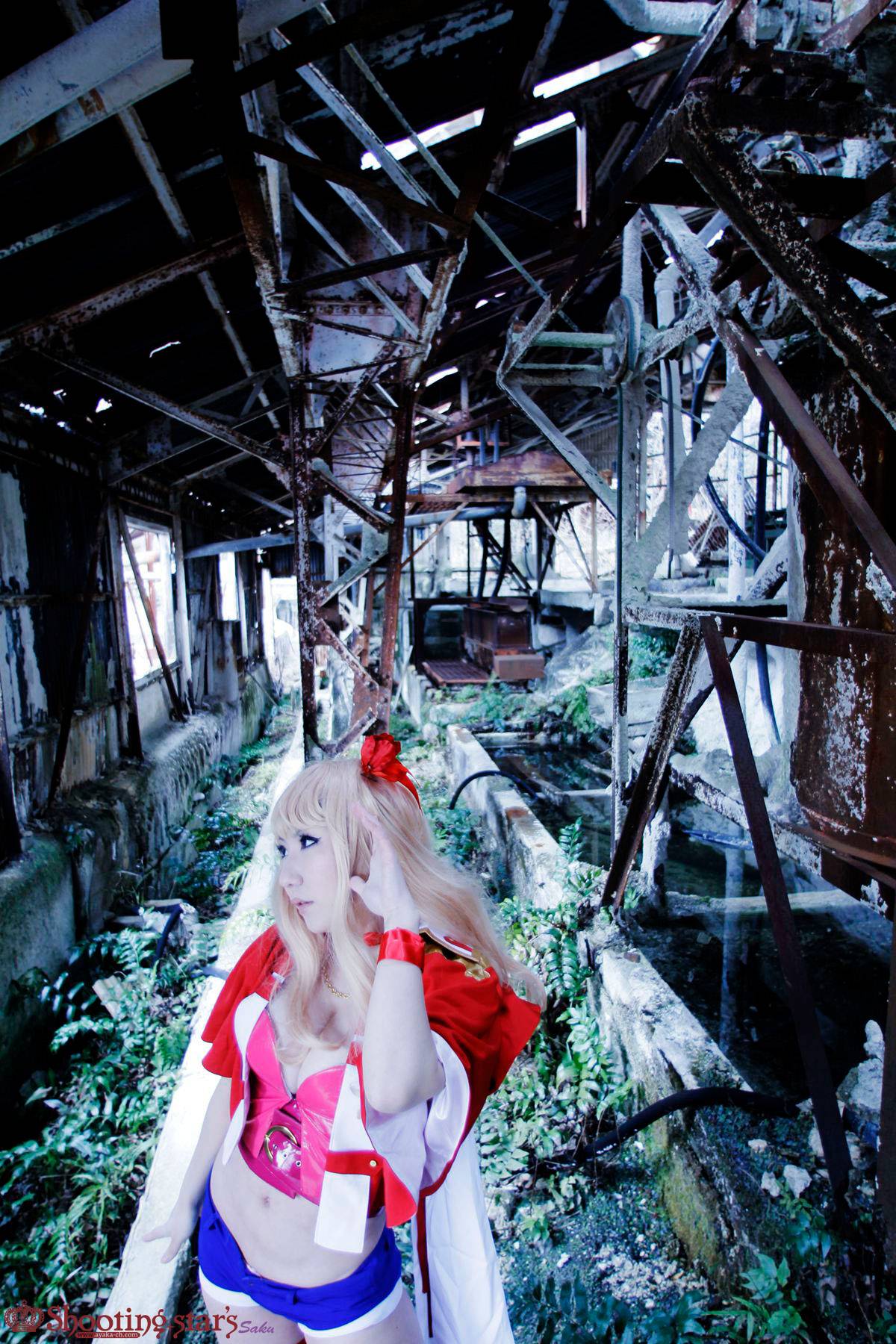 [Chụp Star's] Thỏ sâu thẳm