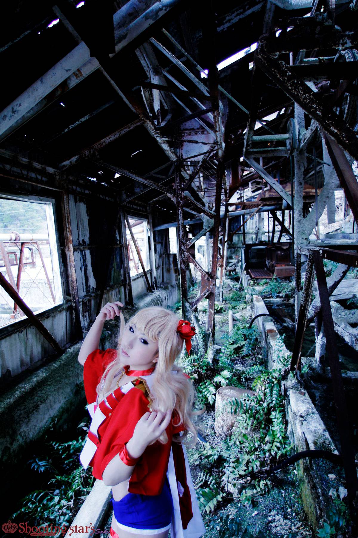 [Chụp Star's] Thỏ sâu thẳm