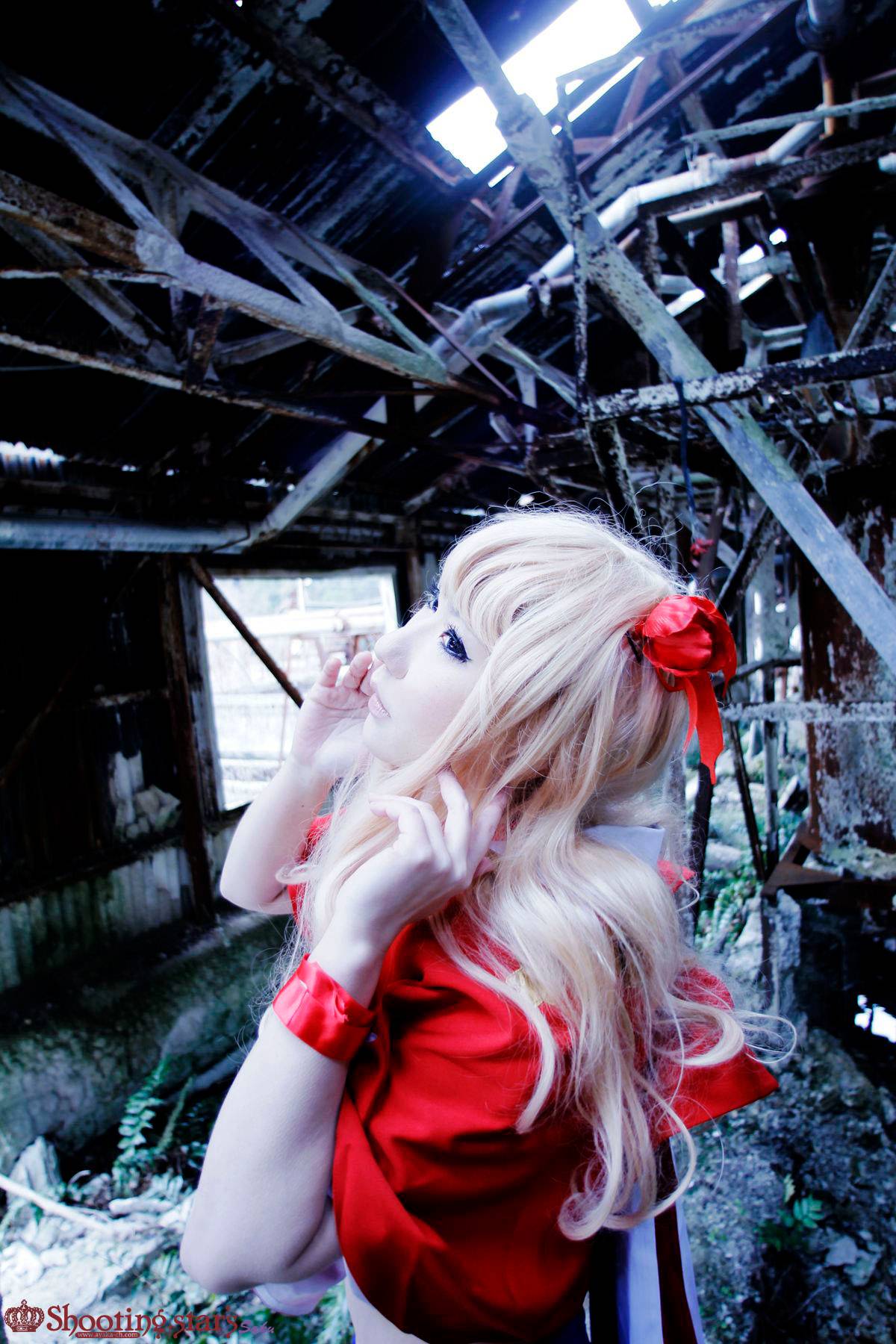 [Chụp Star's] Thỏ sâu thẳm