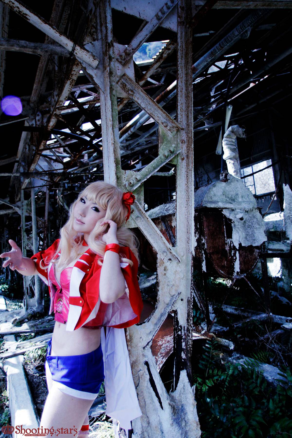 [Chụp Star's] Thỏ sâu thẳm